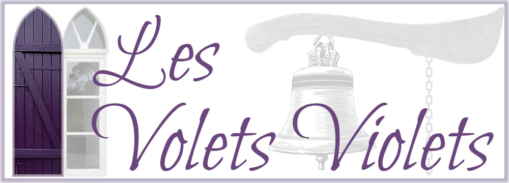 Les Volets Violets, Salles - photo 7