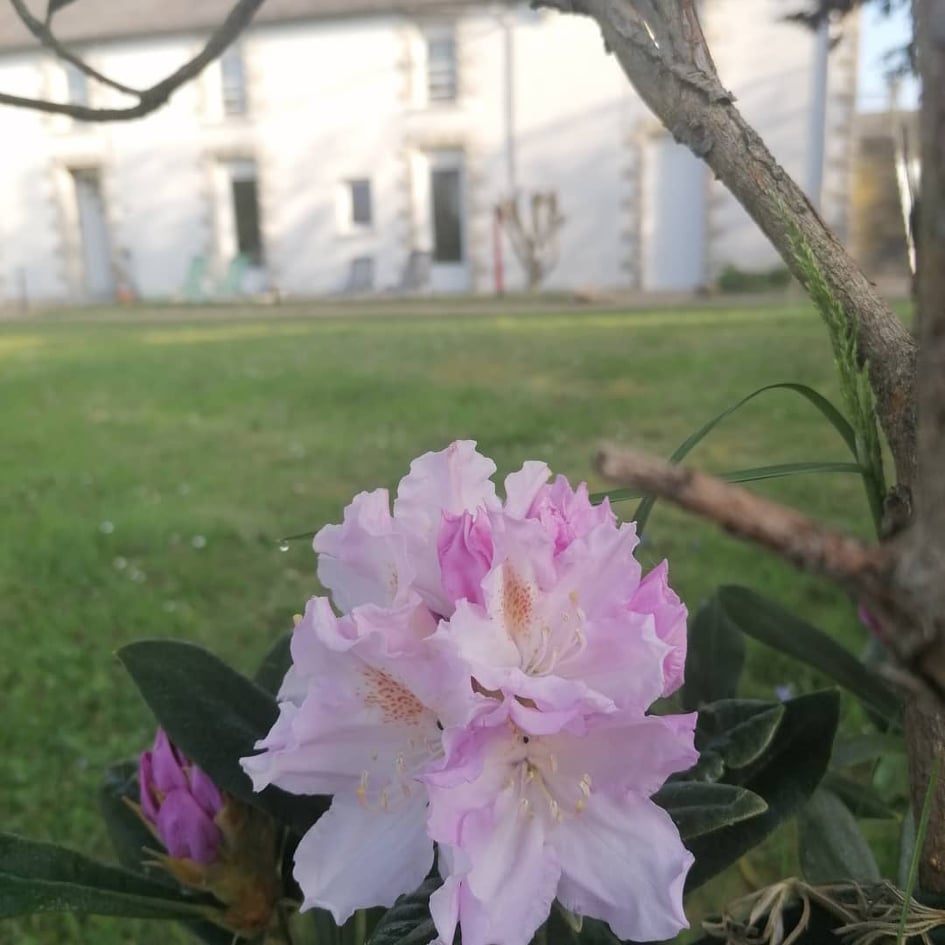 Chambres d'hôtes "Les Mésanges", Combrand - photo 26