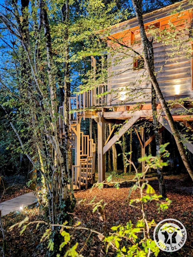 Cyprès si haut cabane et Spa, Saint-Mexant - photo 83
