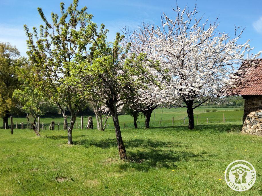 L'Hirondelle, Chamboulive - photo 114