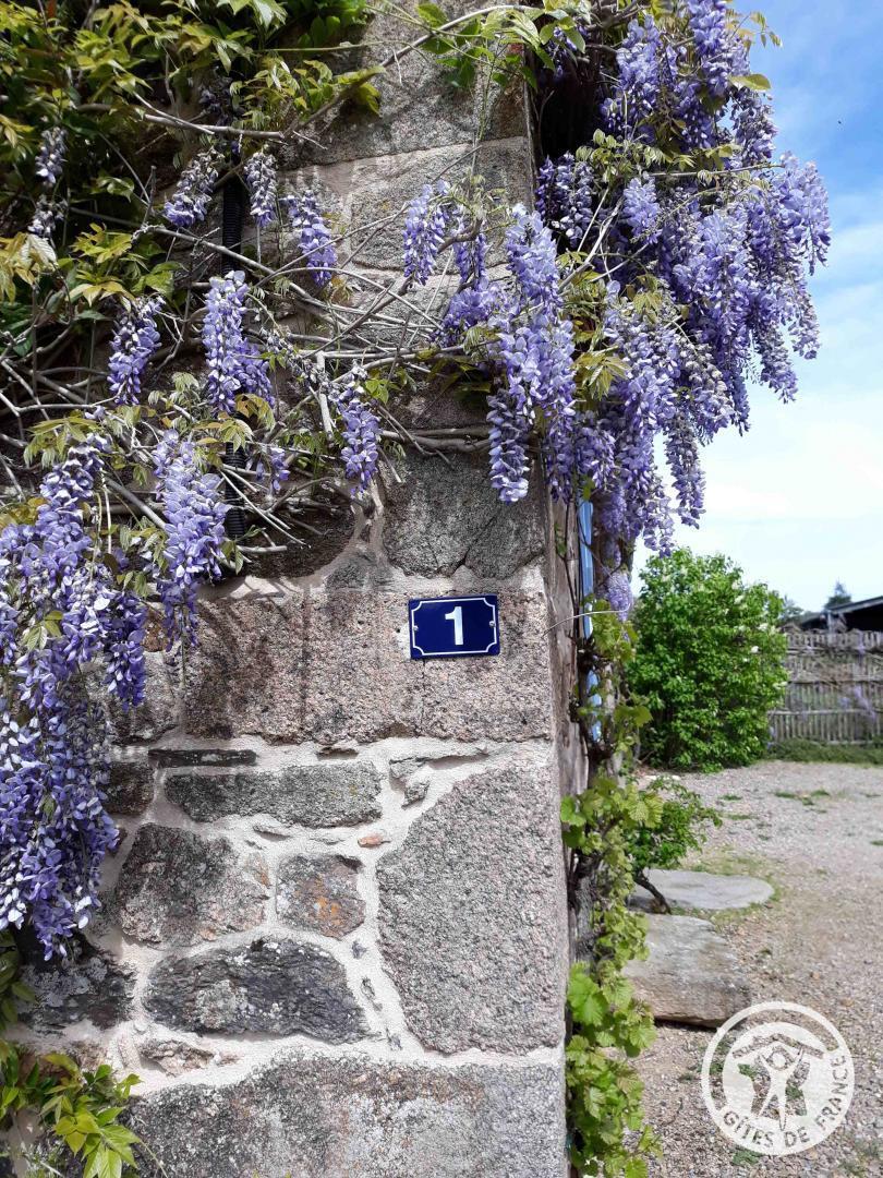 La Chaumière Libellule, Corrèze - photo 161
