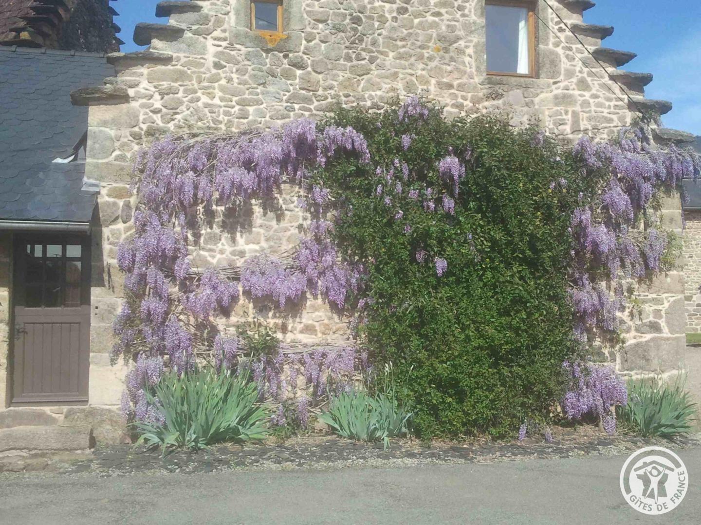 La Chaumière Libellule, Corrèze - photo 167