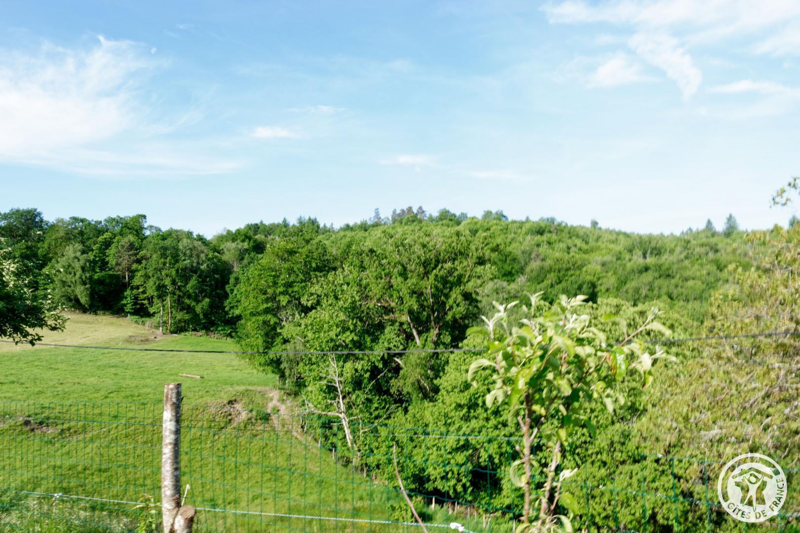 Puy Chabanou, Corrèze - photo 108