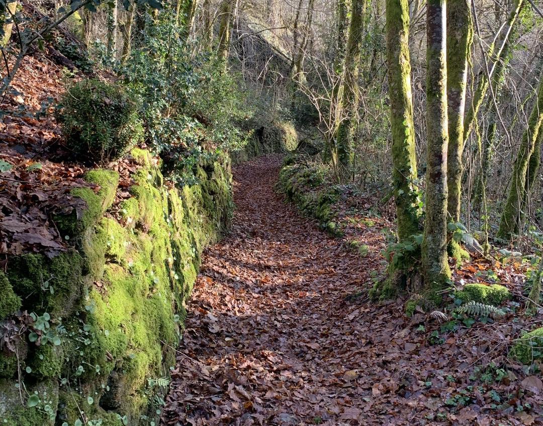 Le Chant des Sources