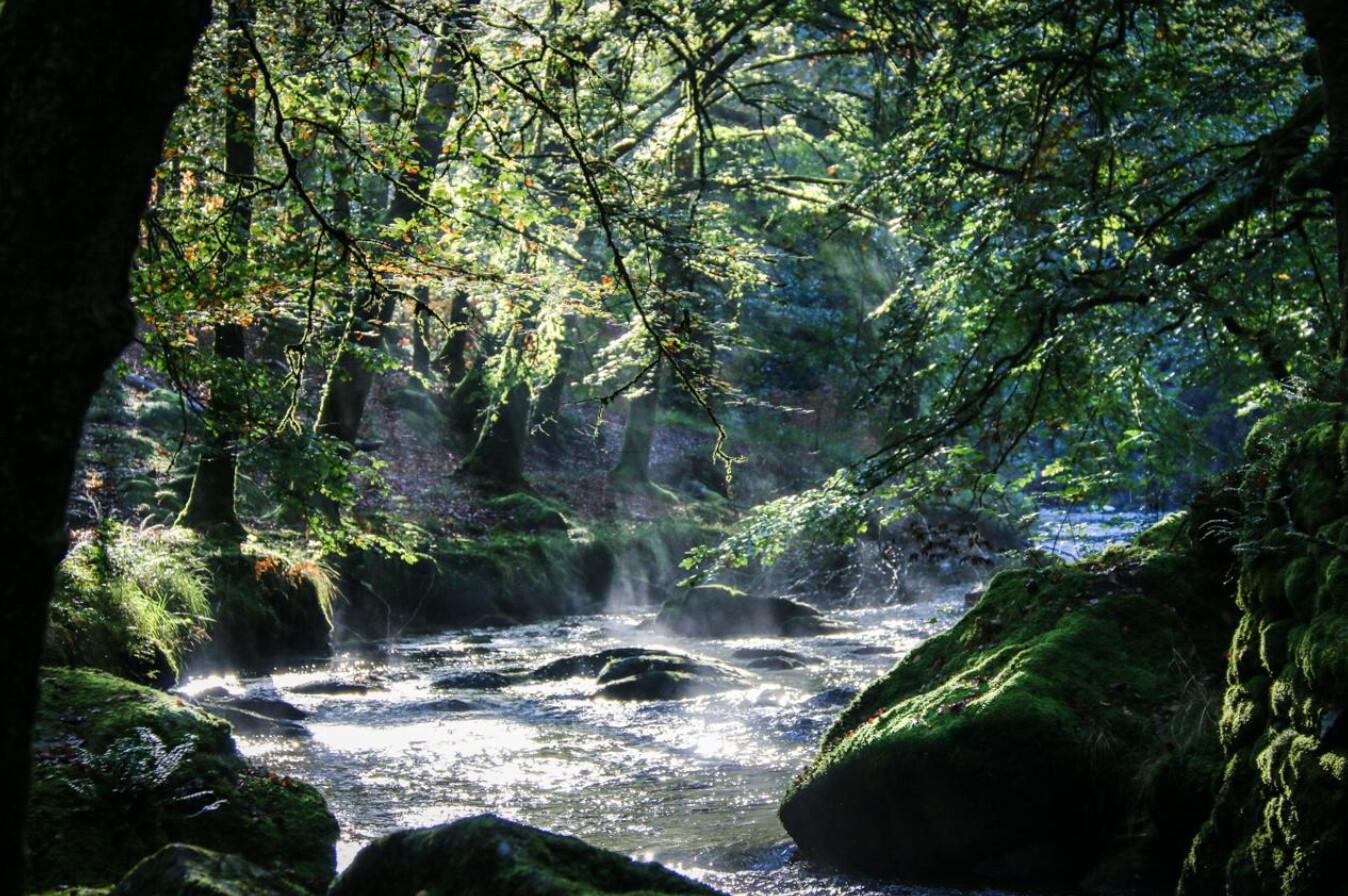 Le Chant des Sources, Gimel-les-Cascades - photo 147