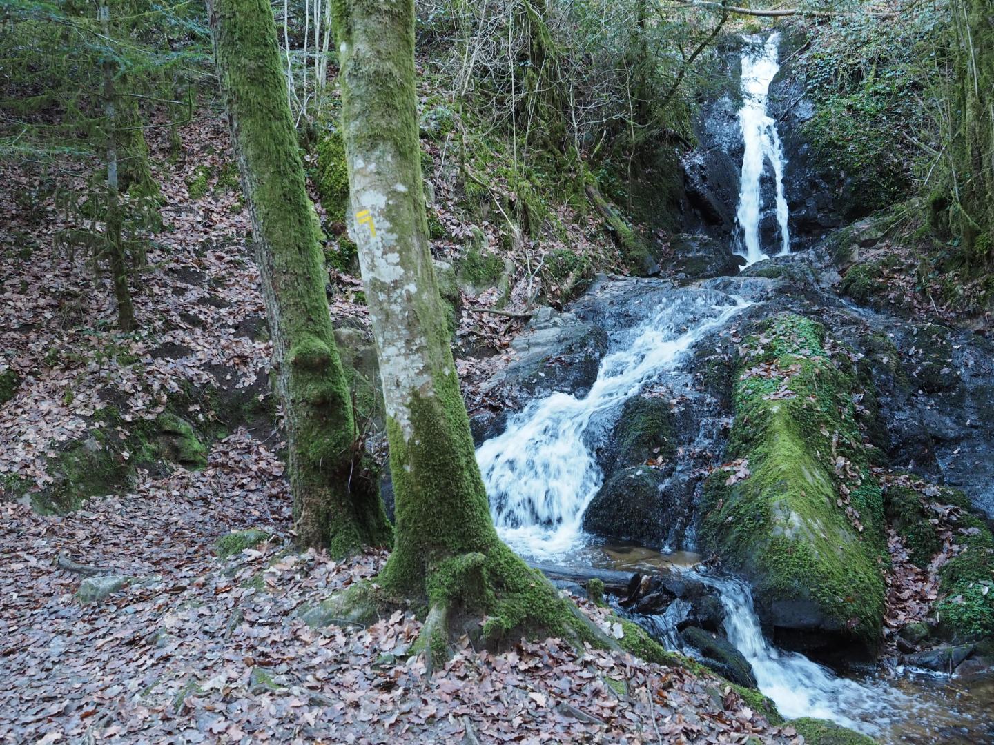 Le Chant des Sources, Gimel-les-Cascades - photo 162
