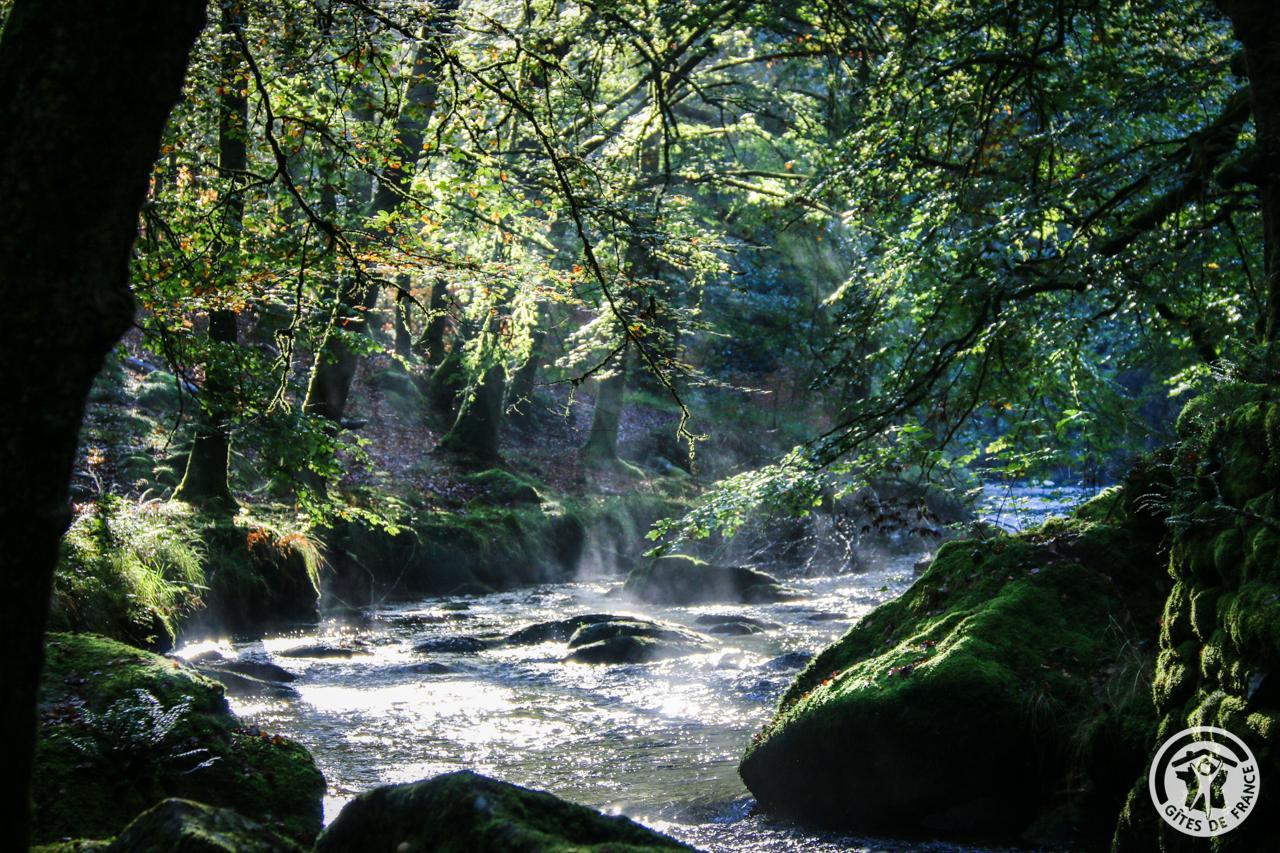 La rapiette, Gimel-les-Cascades - photo 60