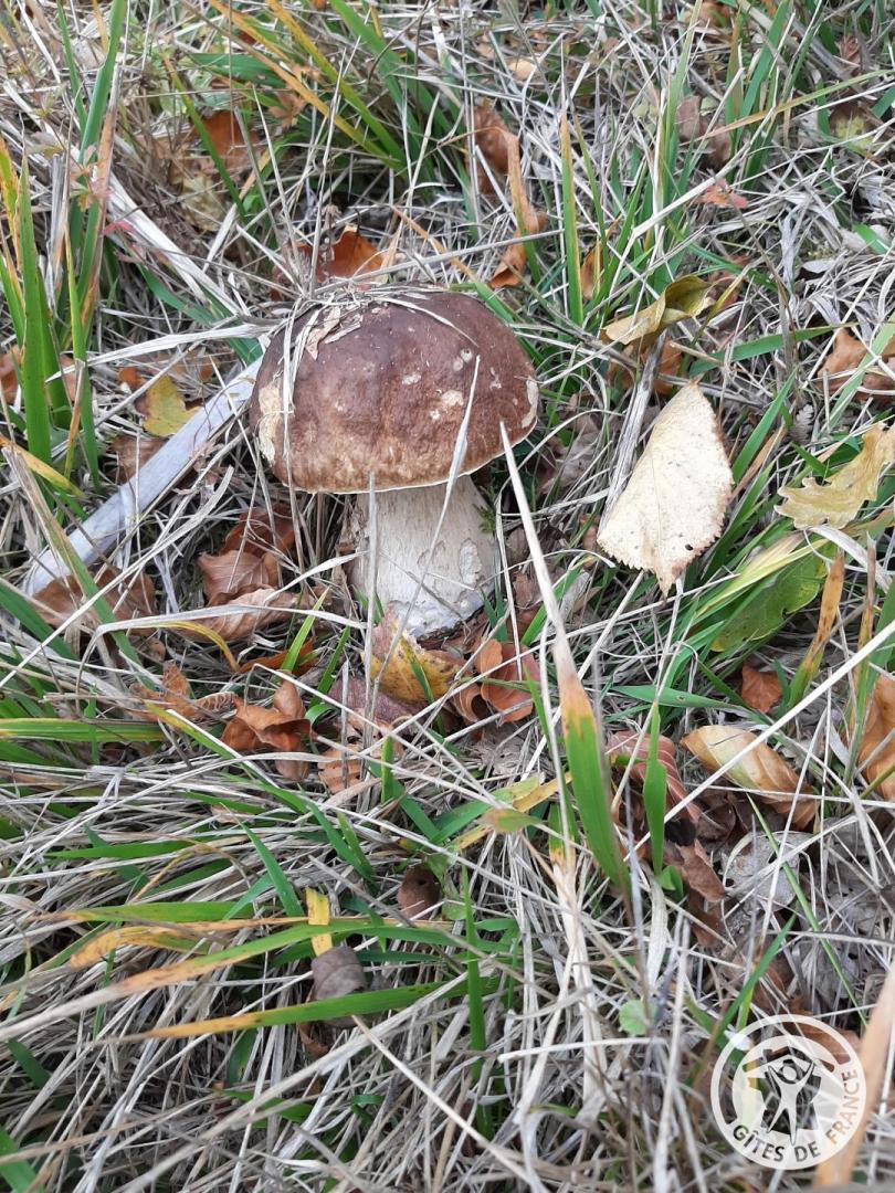 L'hyvernerie, Gumond - photo 138