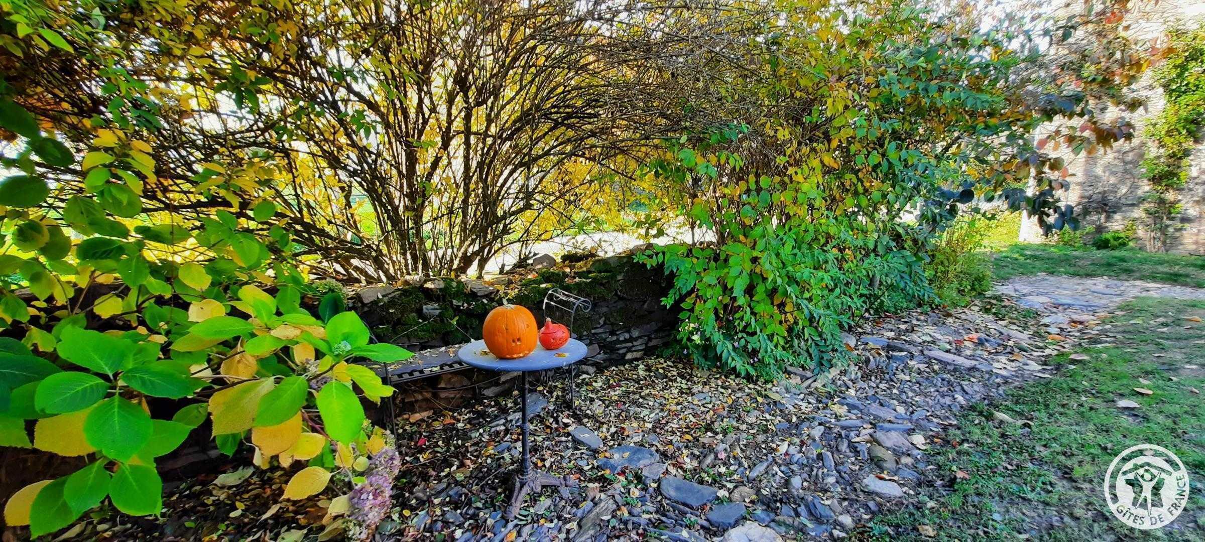 Gîte des papous, Saint-Jal - photo 277