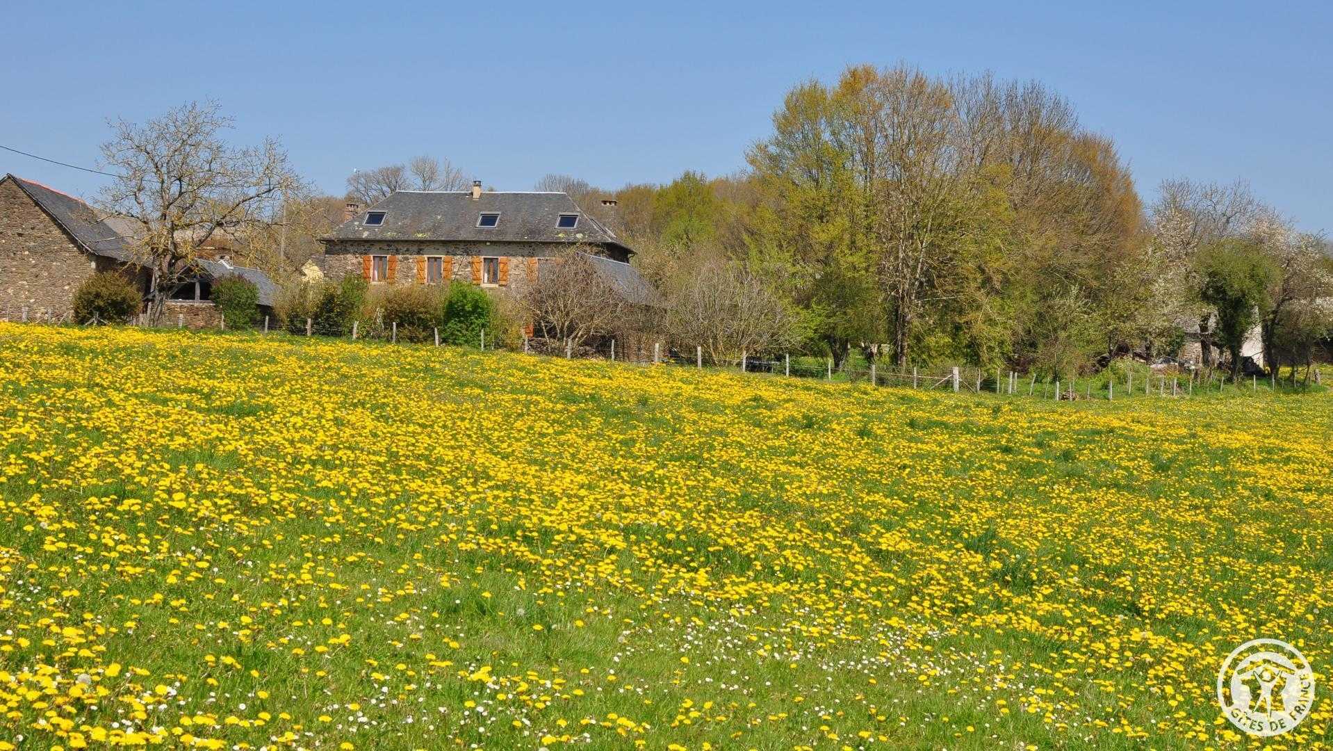 Gîte des papous, Saint-Jal - photo 278