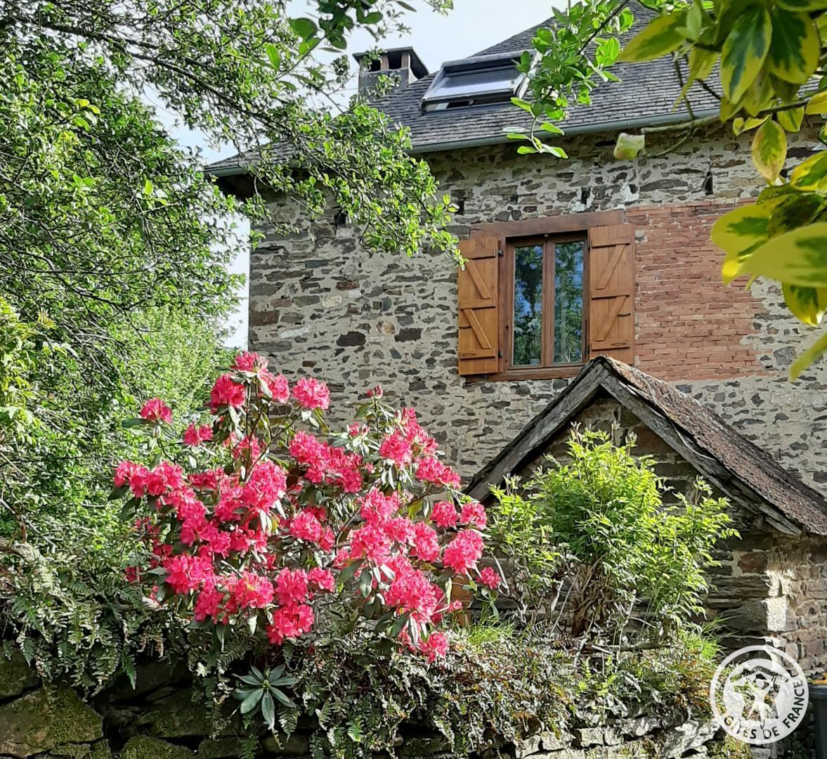 Gîte des papous, Saint-Jal - photo 310