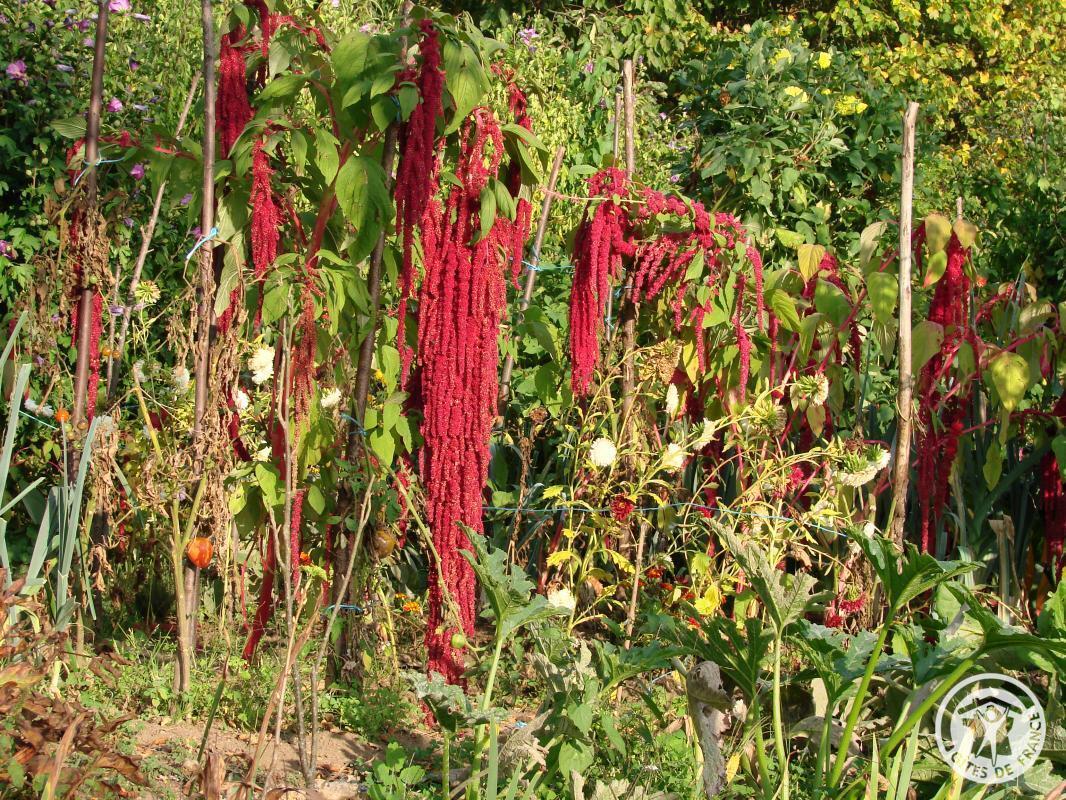Gîte de Chouvert "François" - photo 5