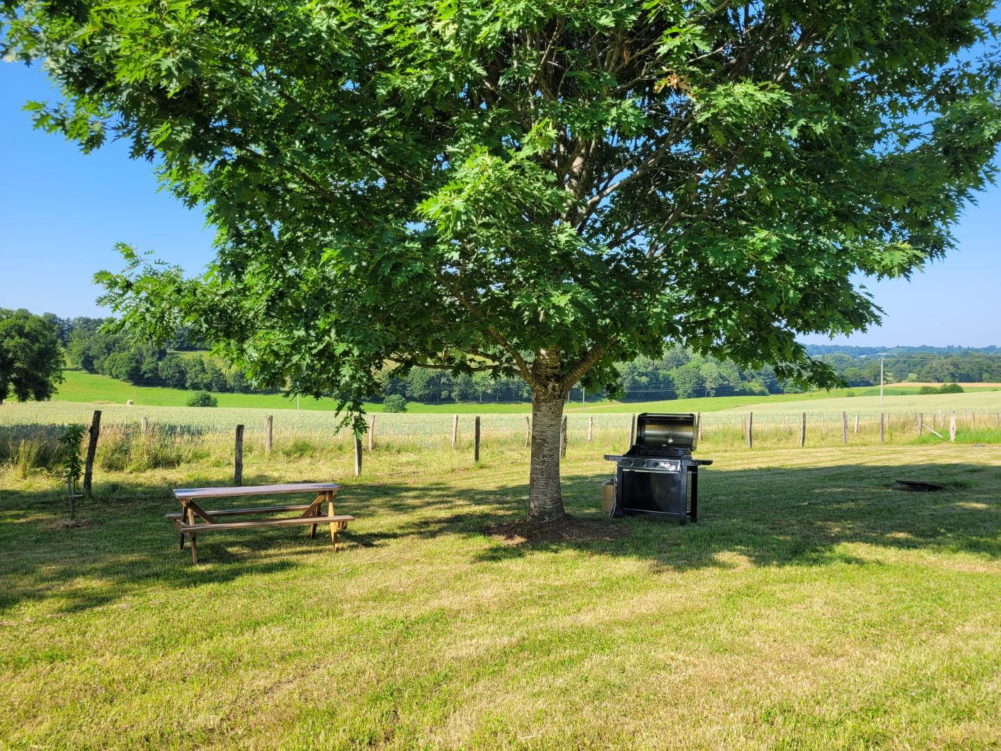 L'Ecureuil, Chamboulive - photo 16