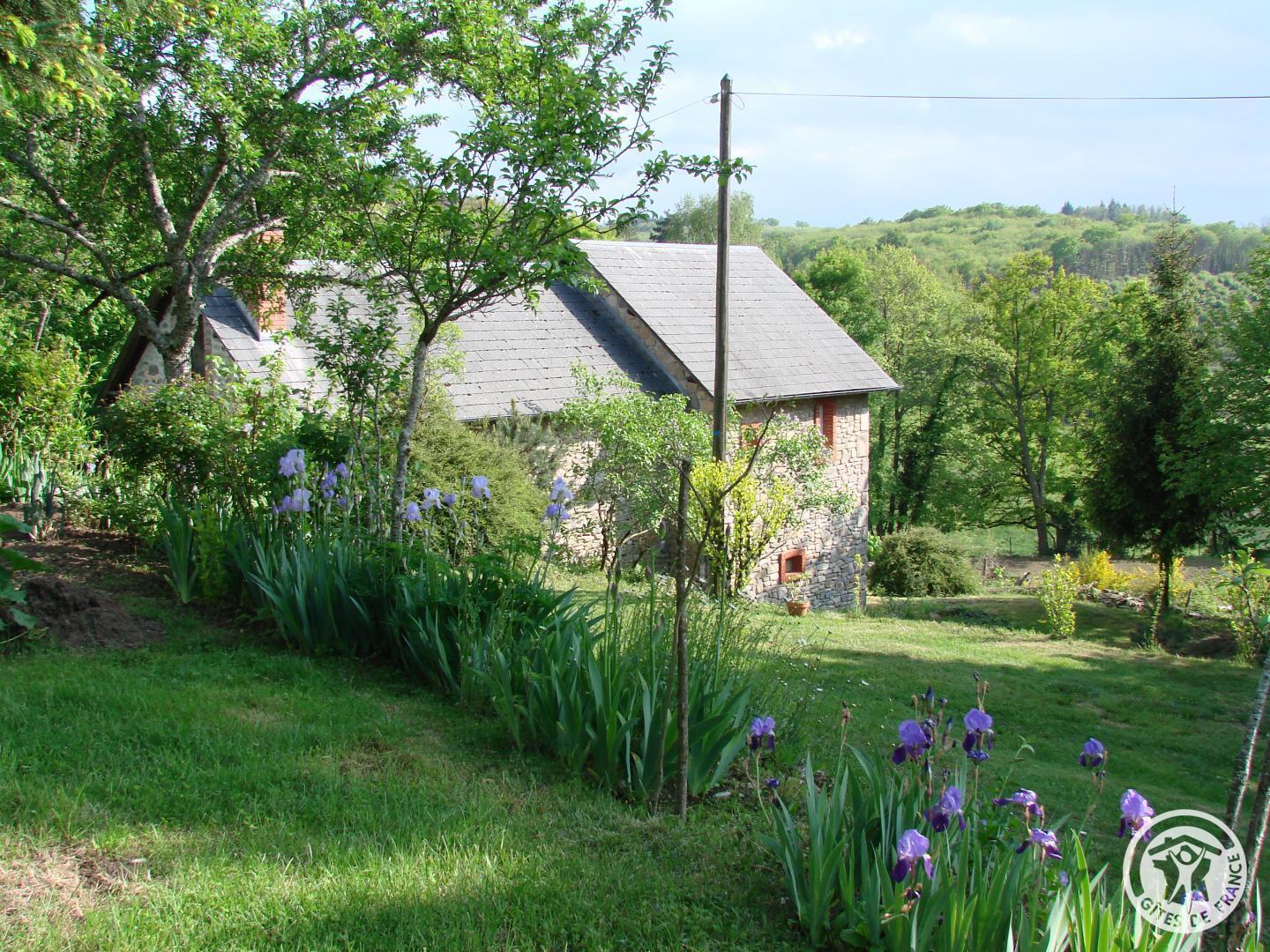 Gîte Marie, Sainte-Fortunade - photo 98