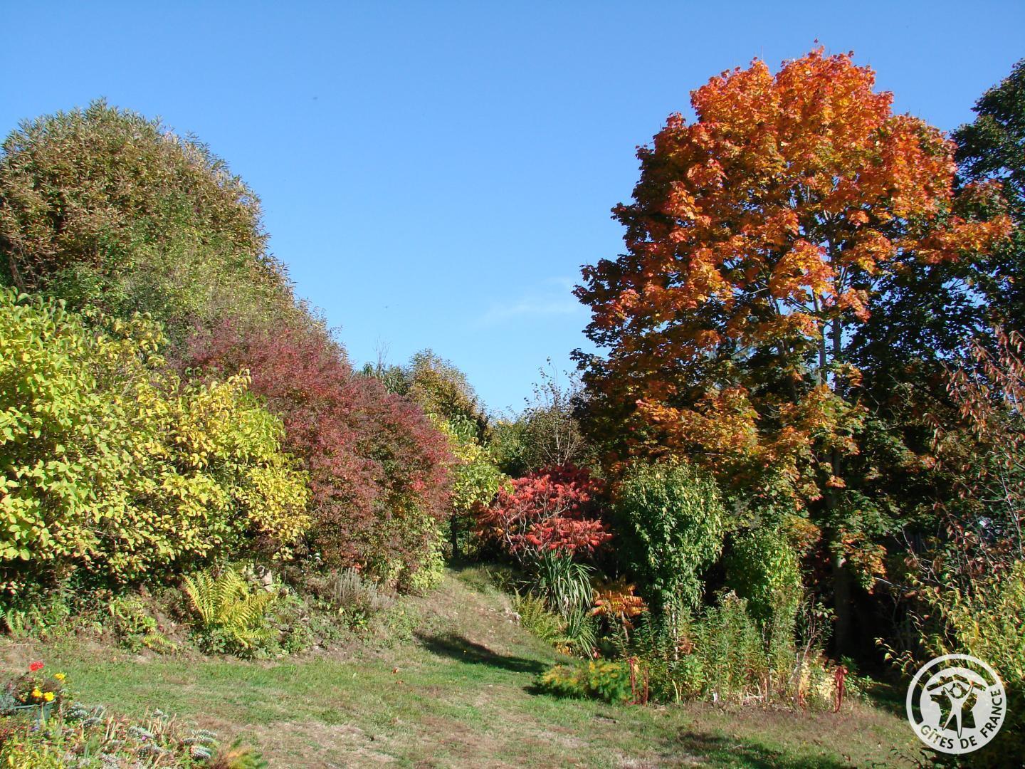 Gîte Marie, Sainte-Fortunade - photo 115