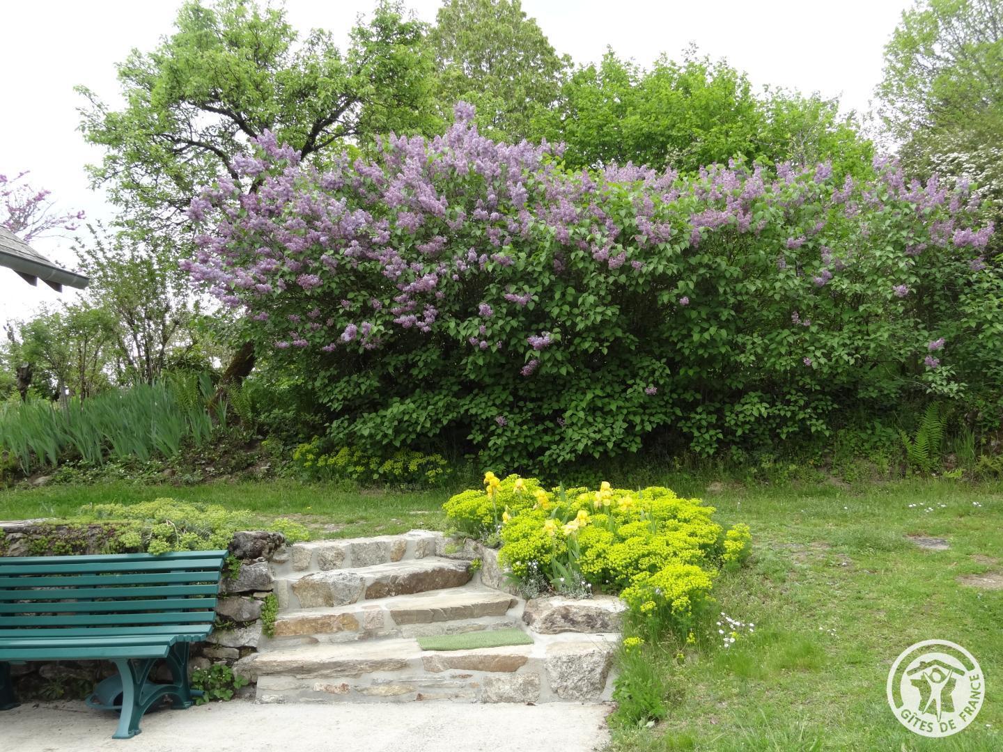 Gîte Marie, Sainte-Fortunade - photo 109