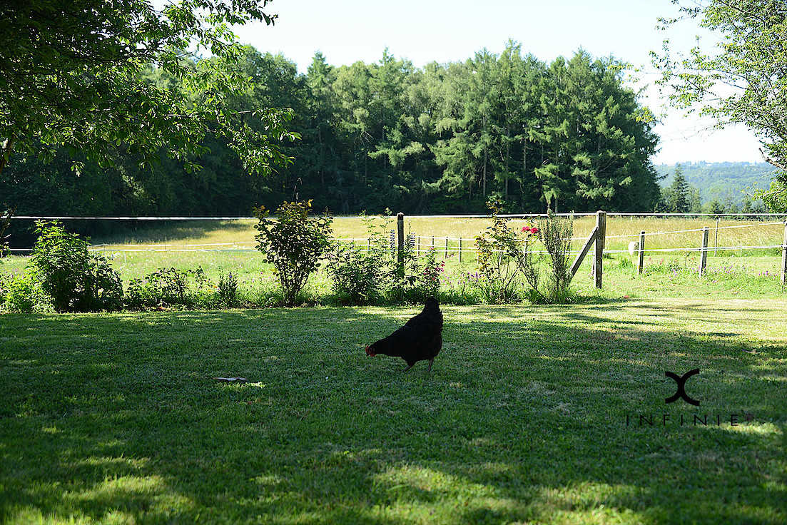 Domaine du Salabert, Saint-Martial-de-Gimel - photo 68