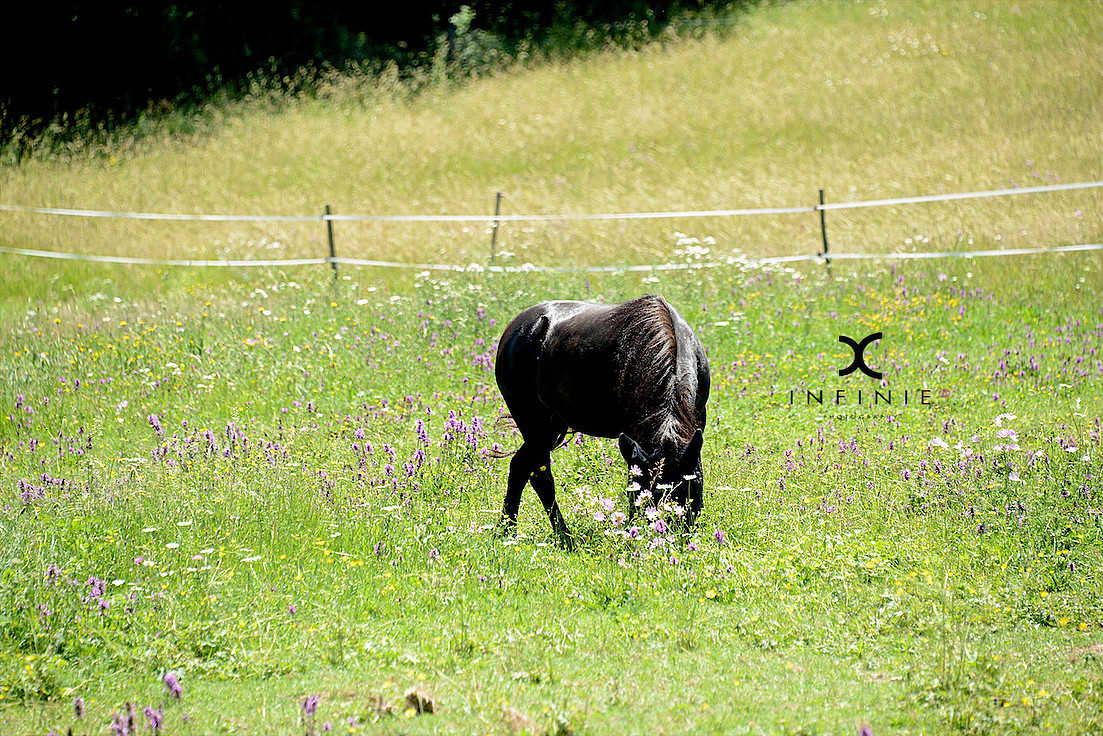 Domaine du Salabert, Saint-Martial-de-Gimel - photo 50
