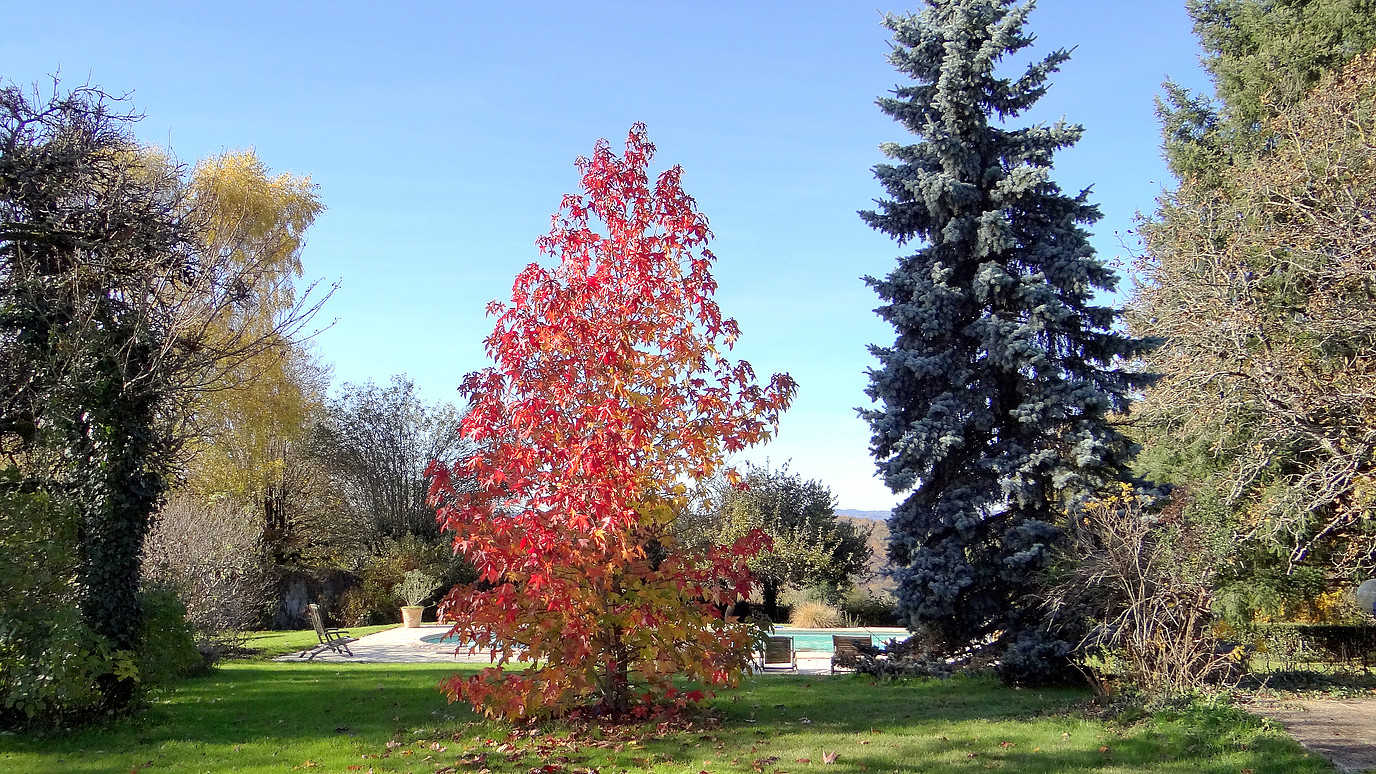 Domaine du Salabert, Saint-Martial-de-Gimel - photo 71