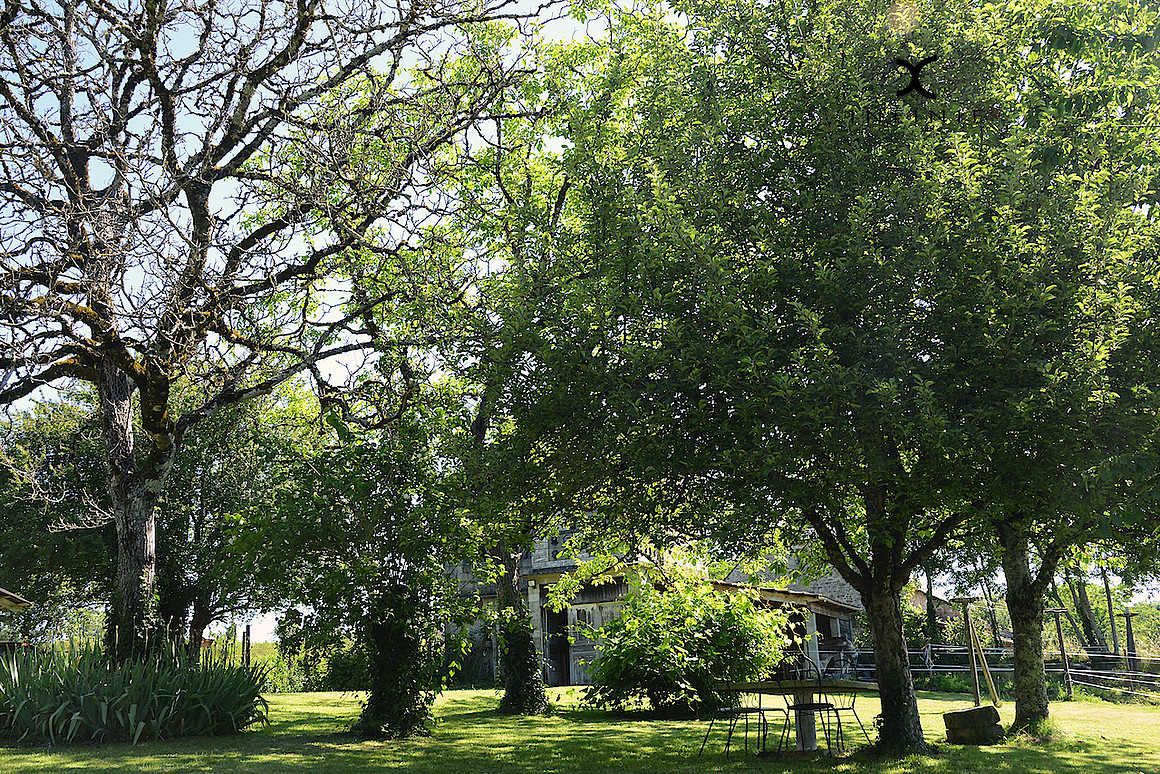 Domaine du Salabert, Saint-Martial-de-Gimel - photo 54