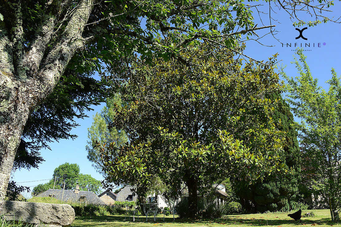 Domaine du Salabert, Saint-Martial-de-Gimel - photo 25