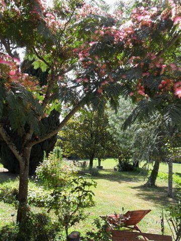 Domaine du Salabert, Saint-Martial-de-Gimel - photo 53