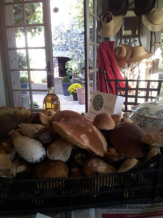 Domaine du Salabert, Saint-Martial-de-Gimel - photo 32