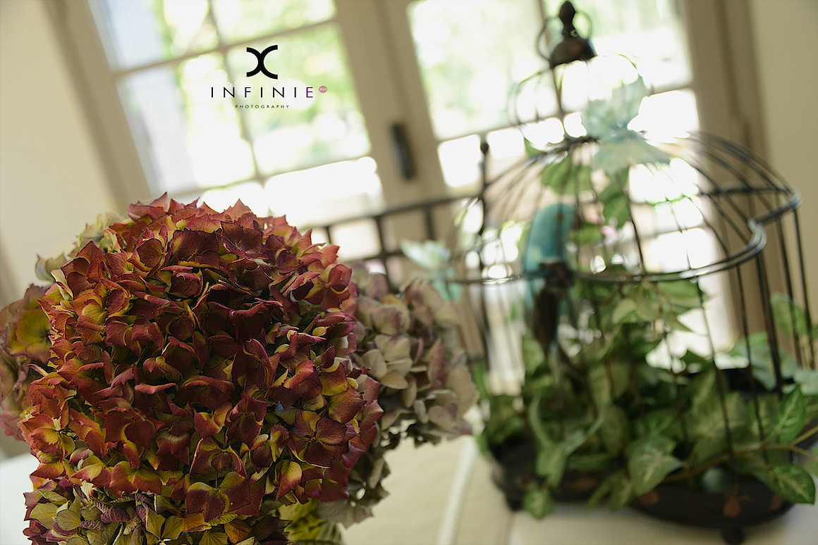 Domaine du Salabert, Saint-Martial-de-Gimel - photo 17