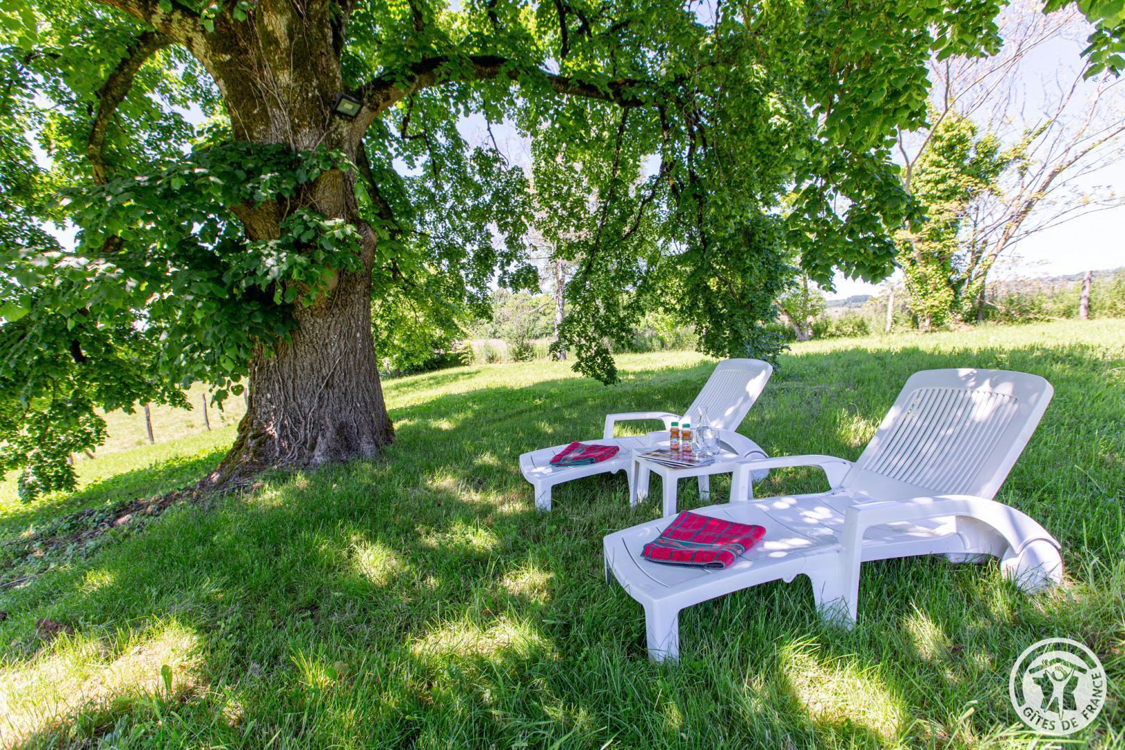Le Clos du Bournazel, Albignac - photo 148