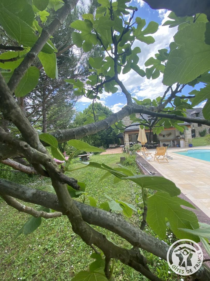 Location Gîtes de France  - Réf : 19G2023, Branceilles - photo 189