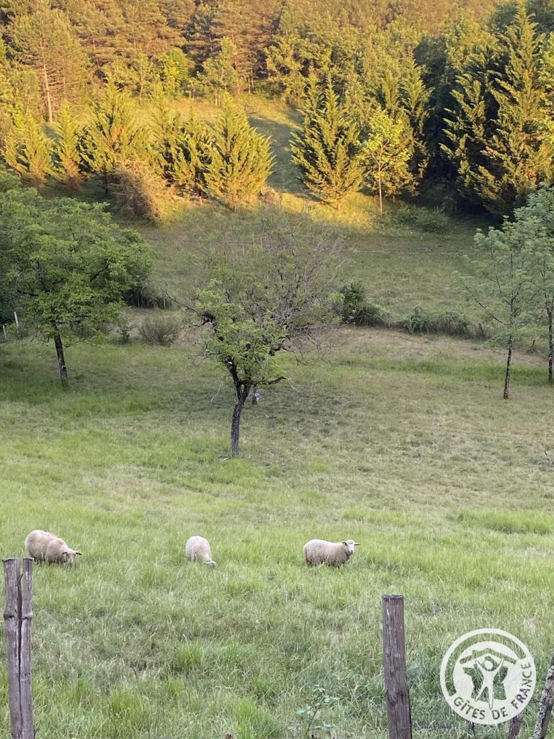 Location Gîtes de France  - Réf : 19G2023, Branceilles - photo 168