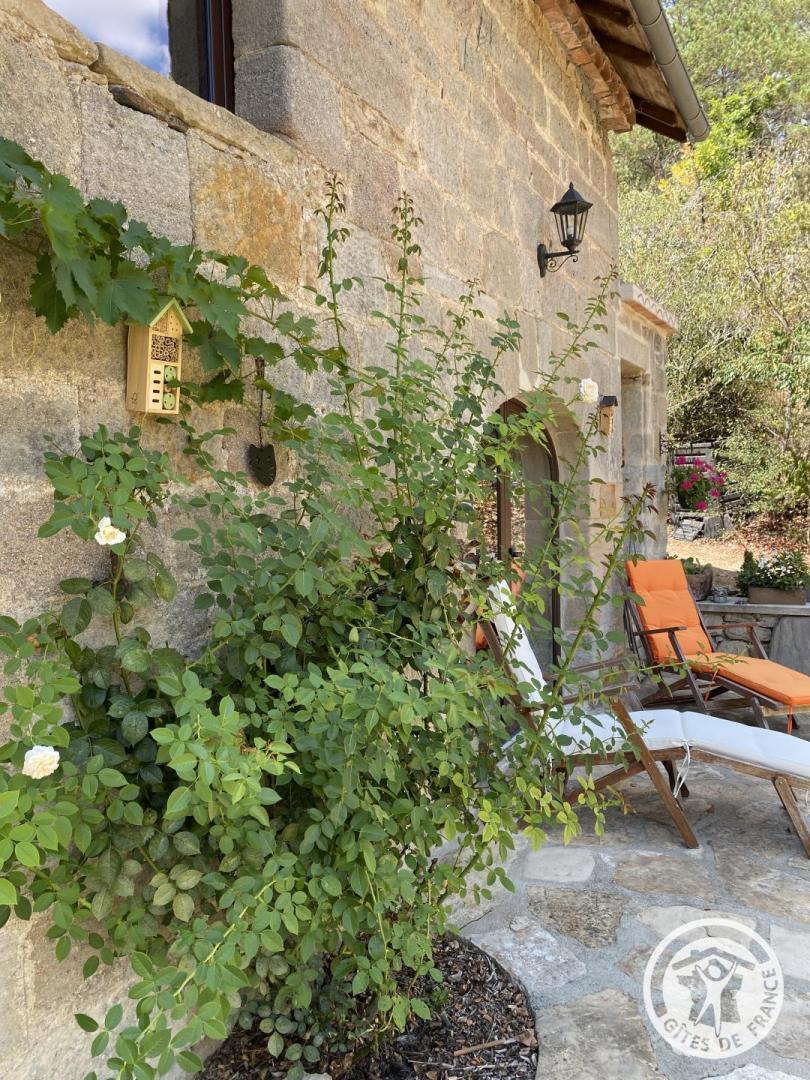 Location Gîtes de France  - Réf : 19G2023, Branceilles - photo 193