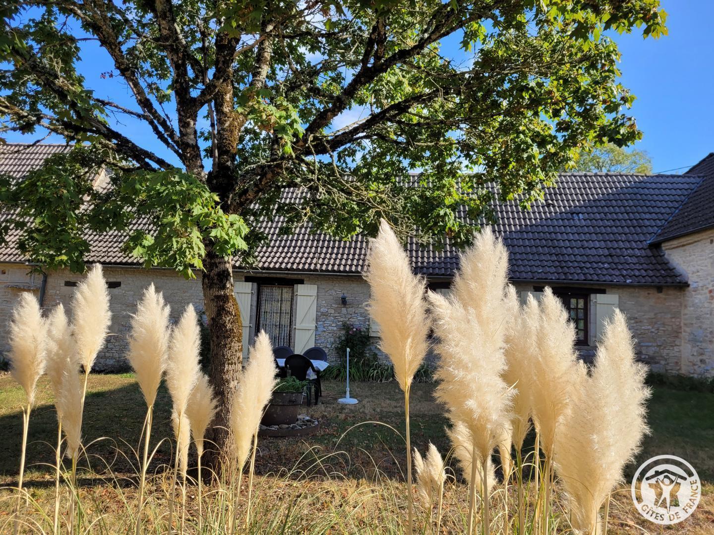 Location Mazajoux - photo 4