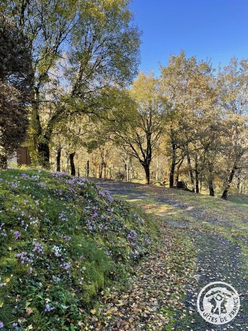 Location Gîtes de France  - Réf : 19G2046, Chasteaux - photo 79