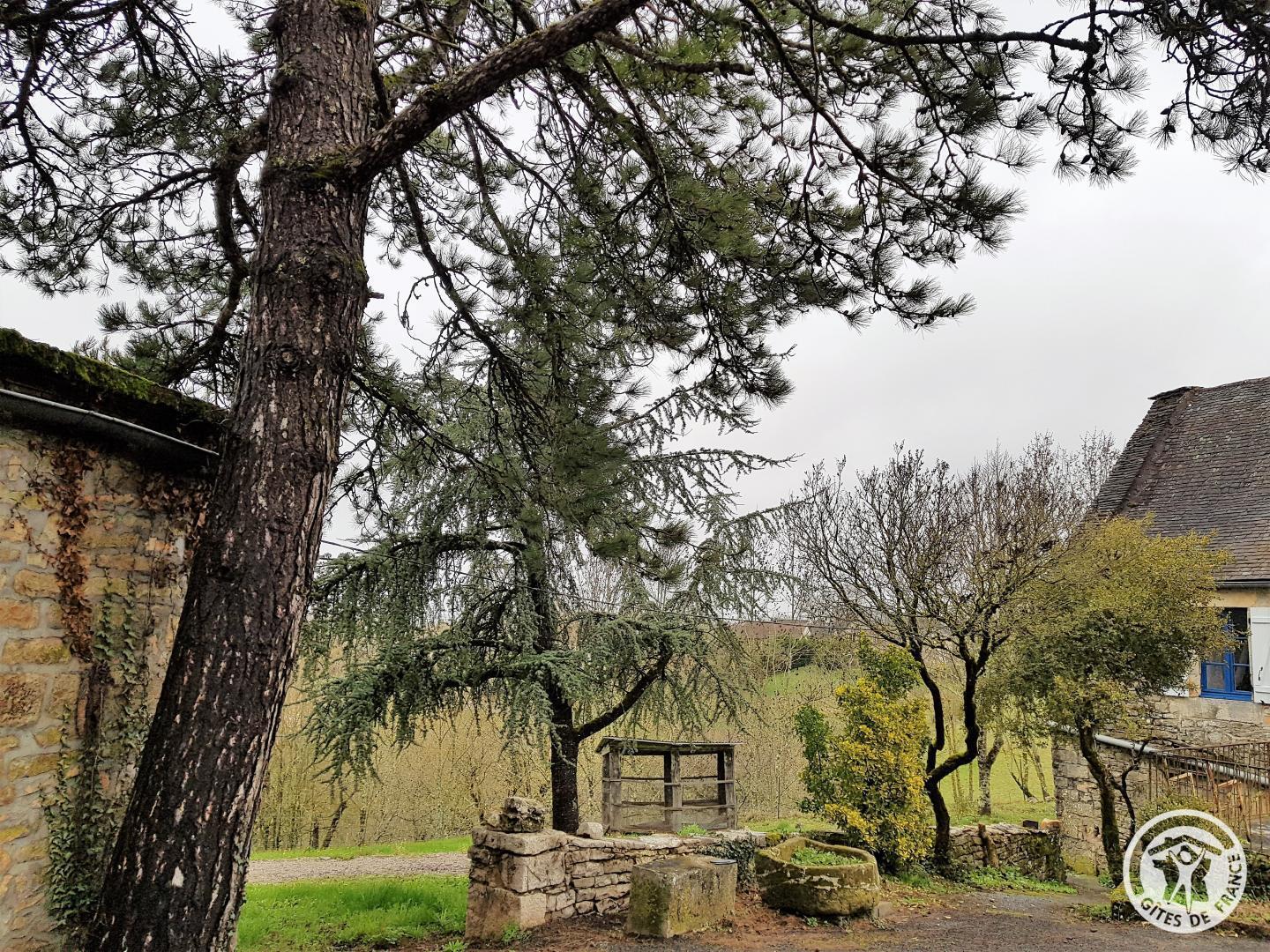 Location Gîtes de France  - Réf : 19G2050, Chasteaux - photo 83