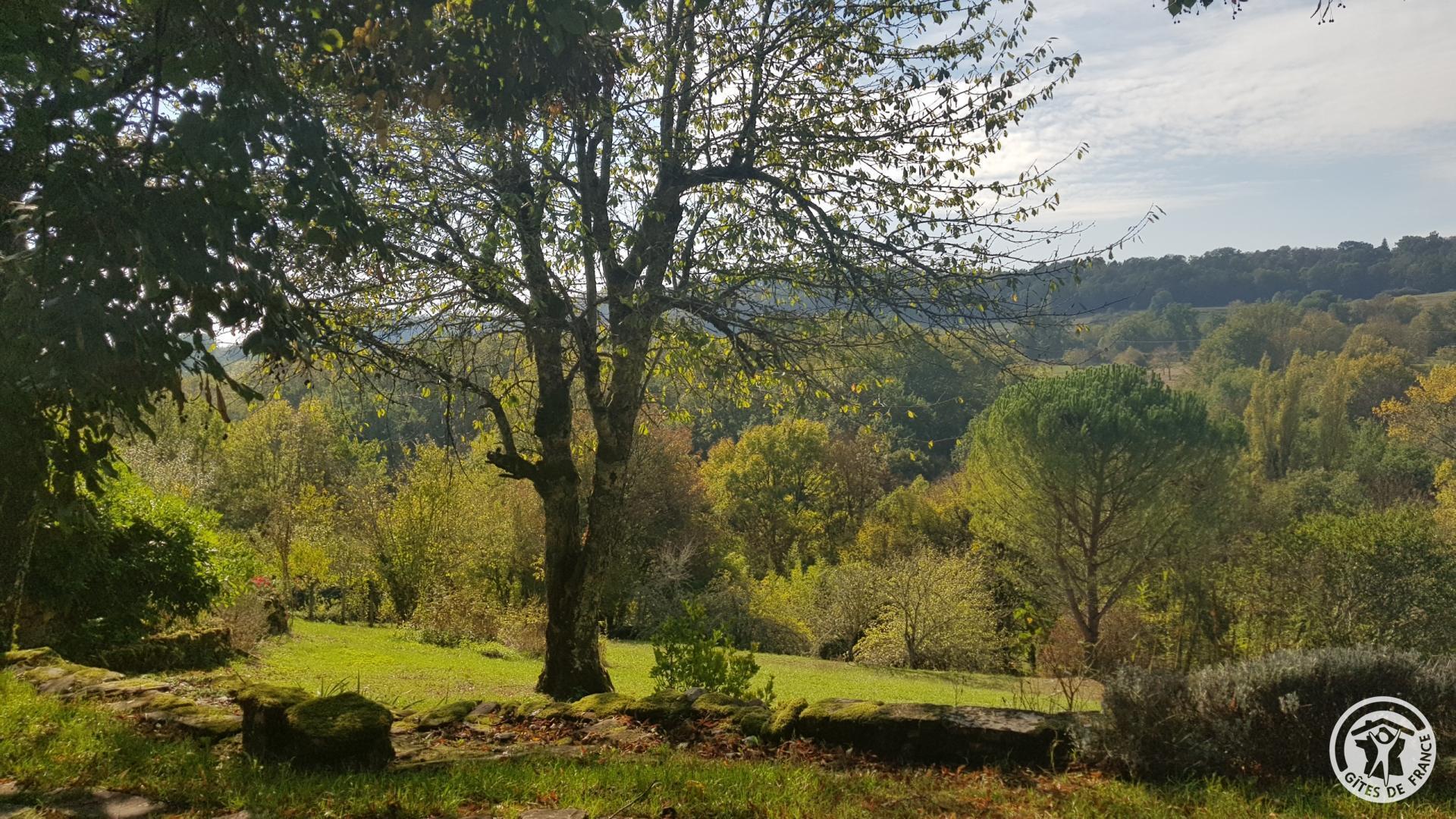 Hautefort, Collonges-la-Rouge - photo 146