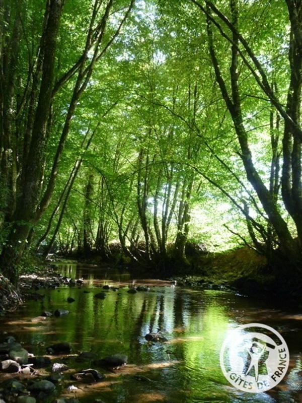 Le Moulin du Juge, Dampniat - photo 248