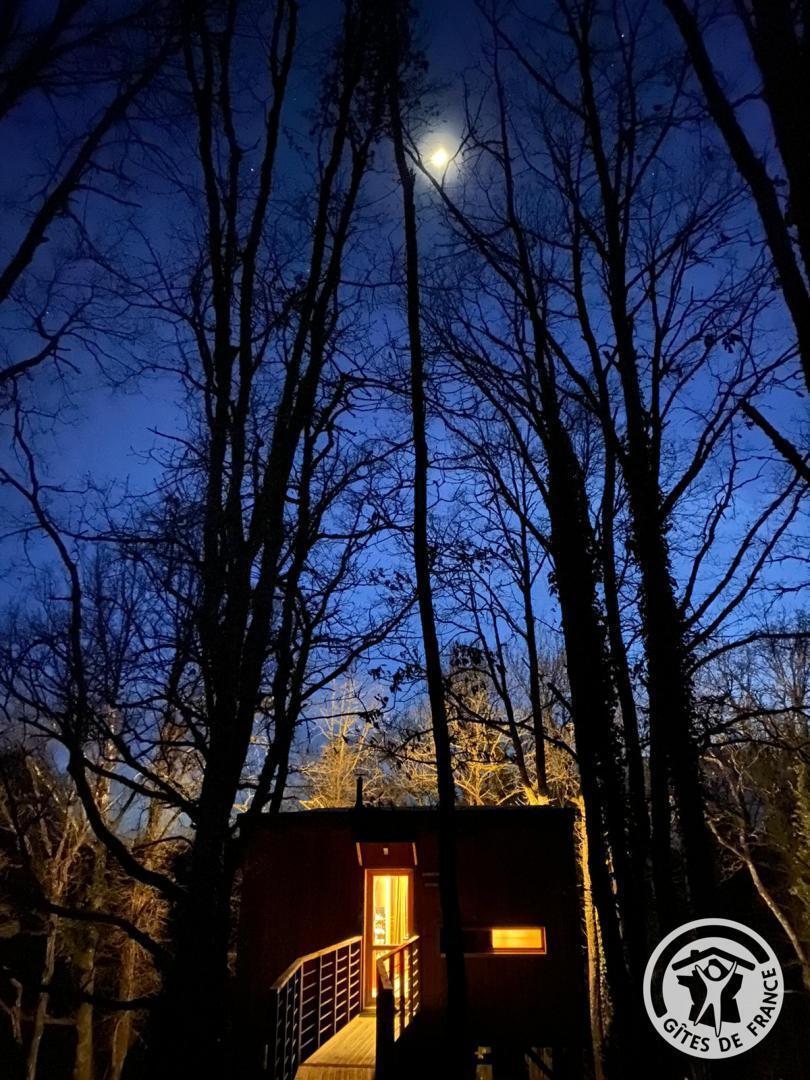 La Cabane d'EmmAxel, Estivals - photo 105