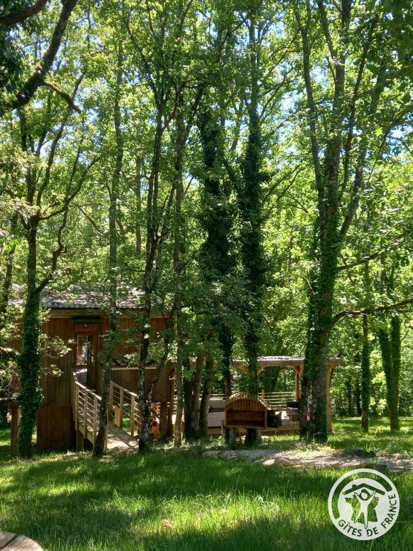 La Cabane d'EmmAxel, Estivals - photo 96