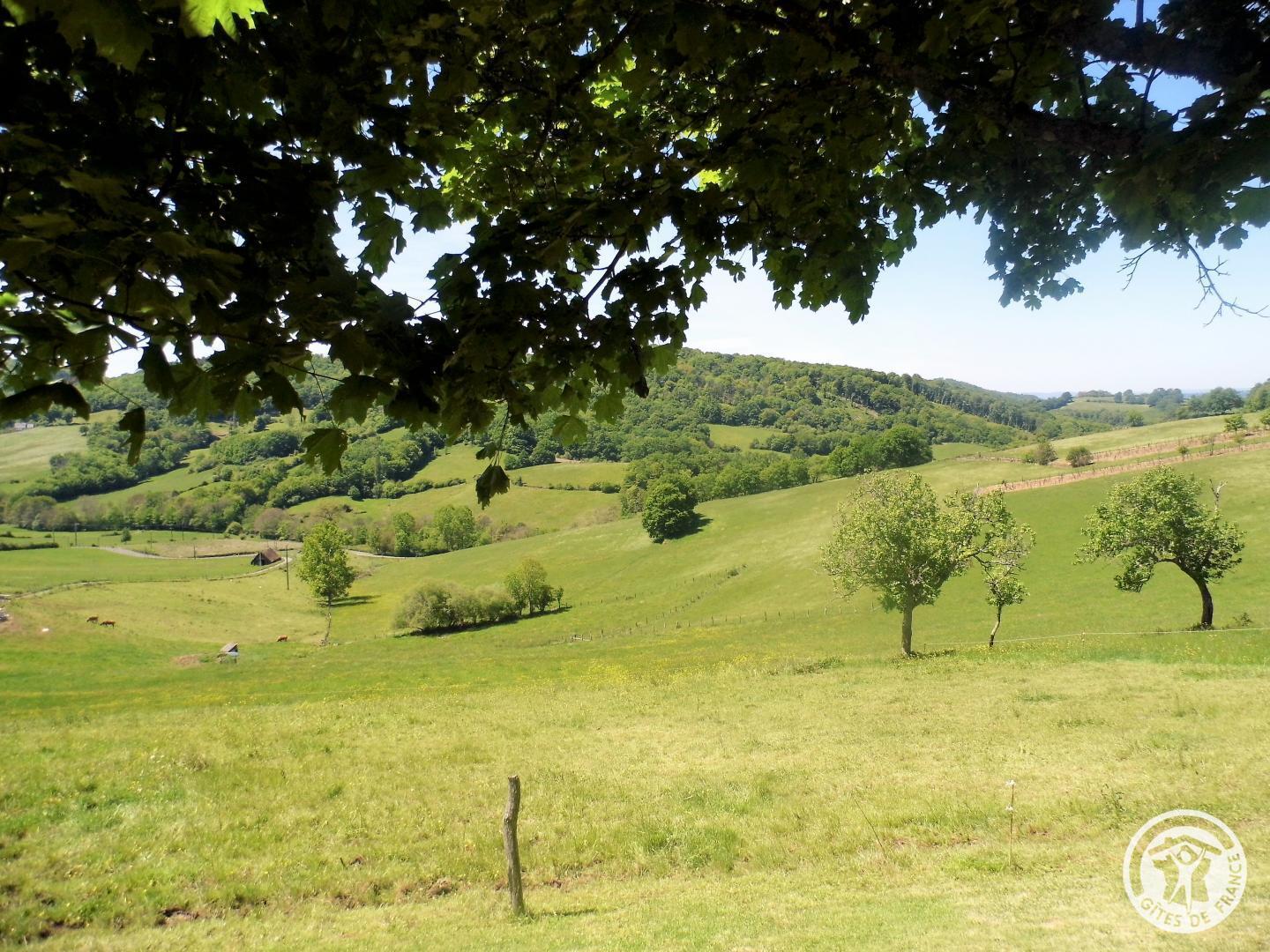 Chez le Garde, Lanteuil - photo 94