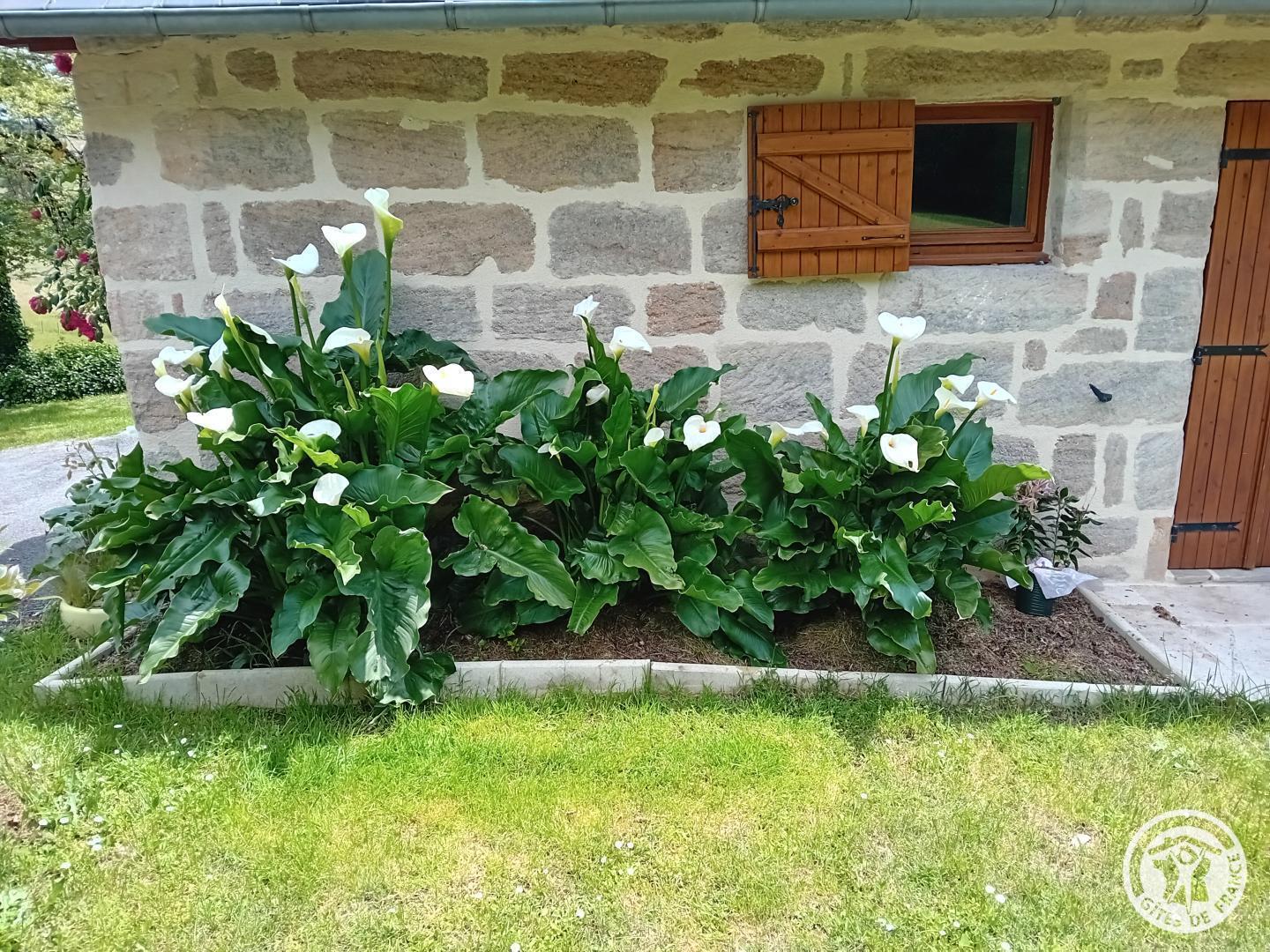 Gîte de la Clairière, Jugeals-Nazareth - photo 95