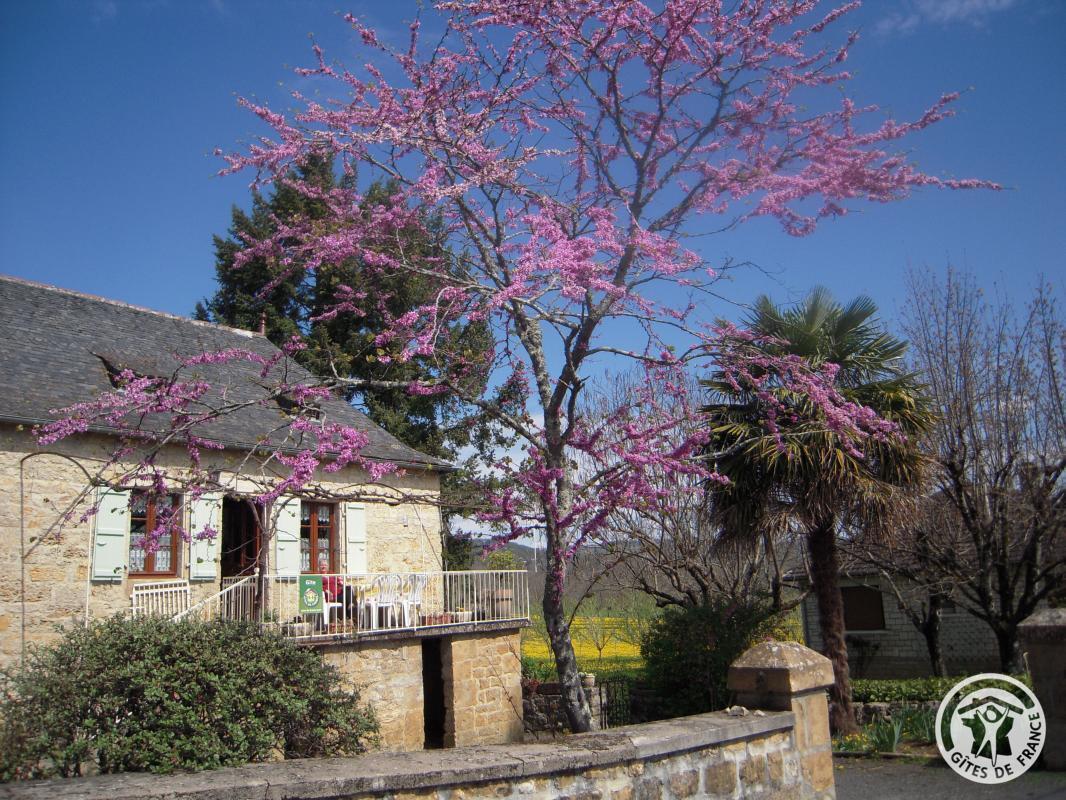 Location Gîtes de France  - Réf : 19G2207, Saillac - photo 60