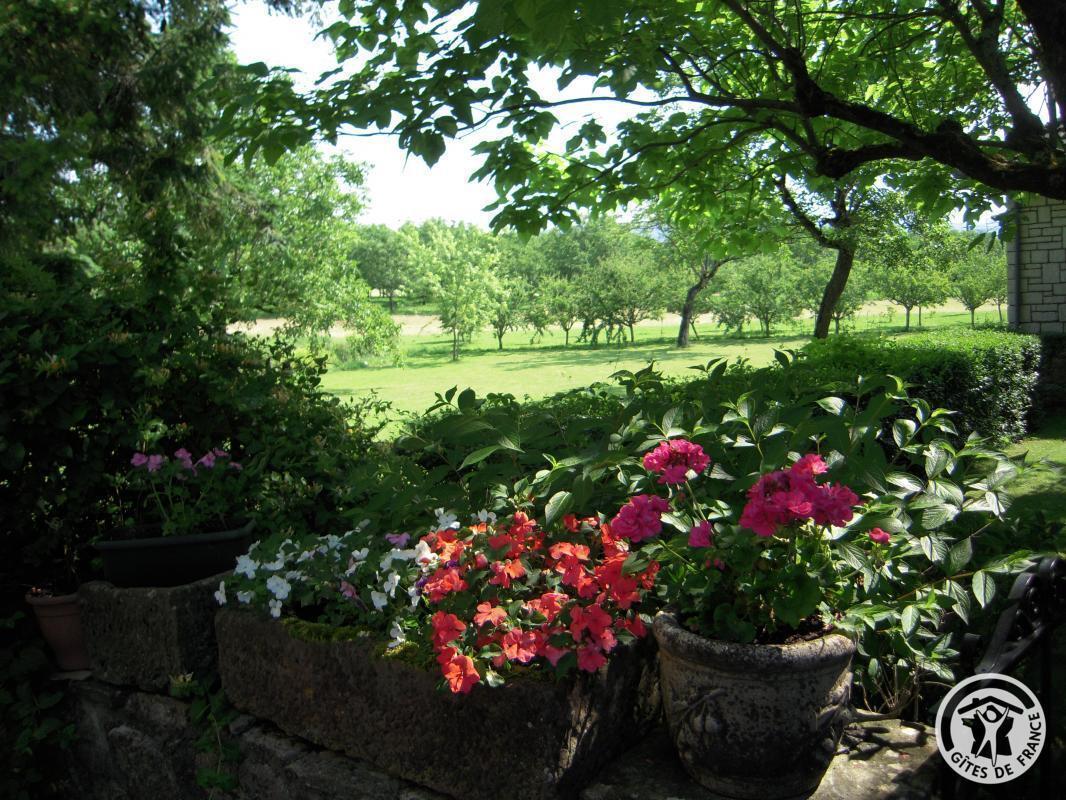 Location Gîtes de France  - Réf : 19G2207, Saillac - photo 59