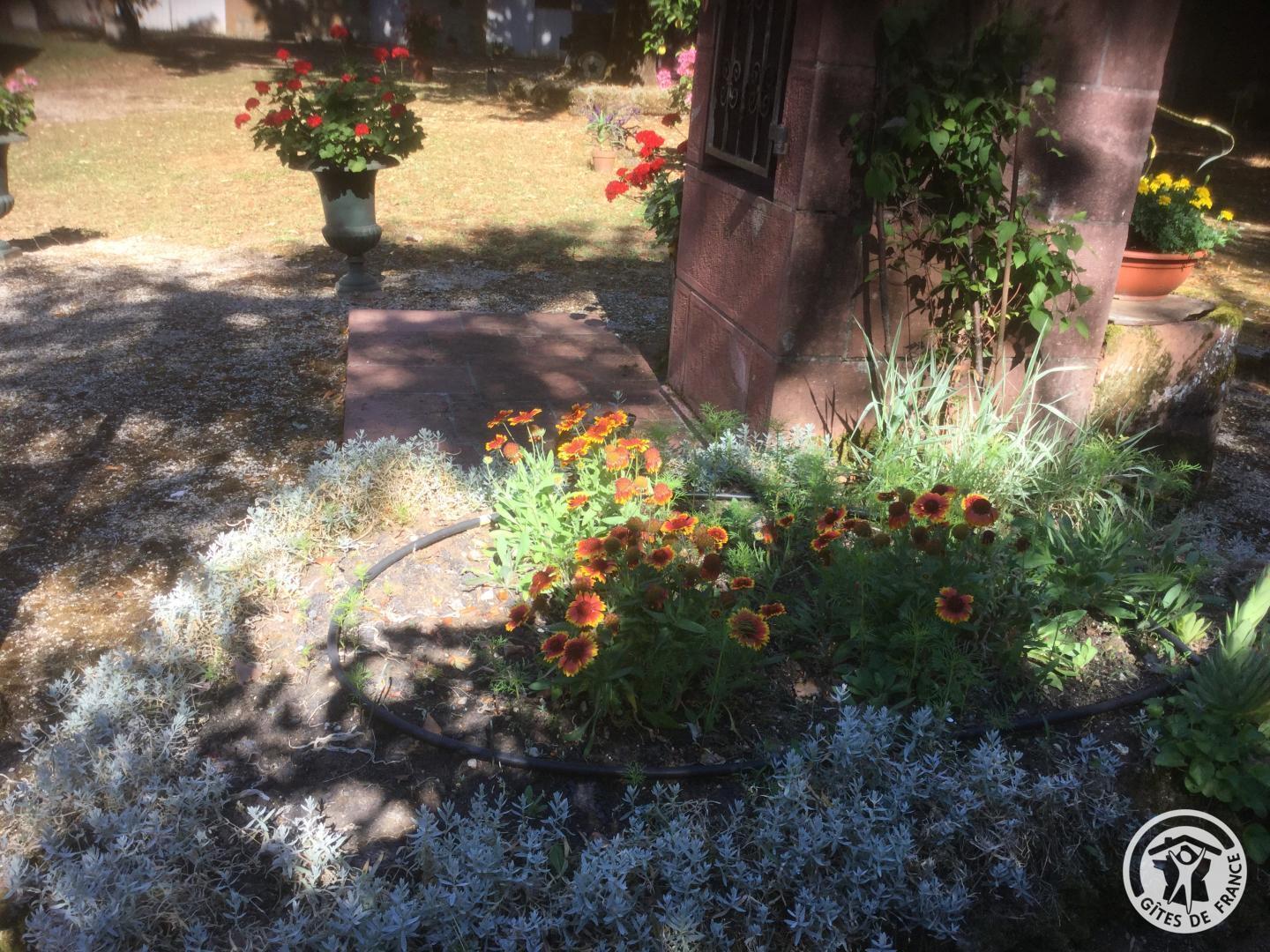 Location Gîtes de France  - Réf : 19G2210, Saillac - photo 69