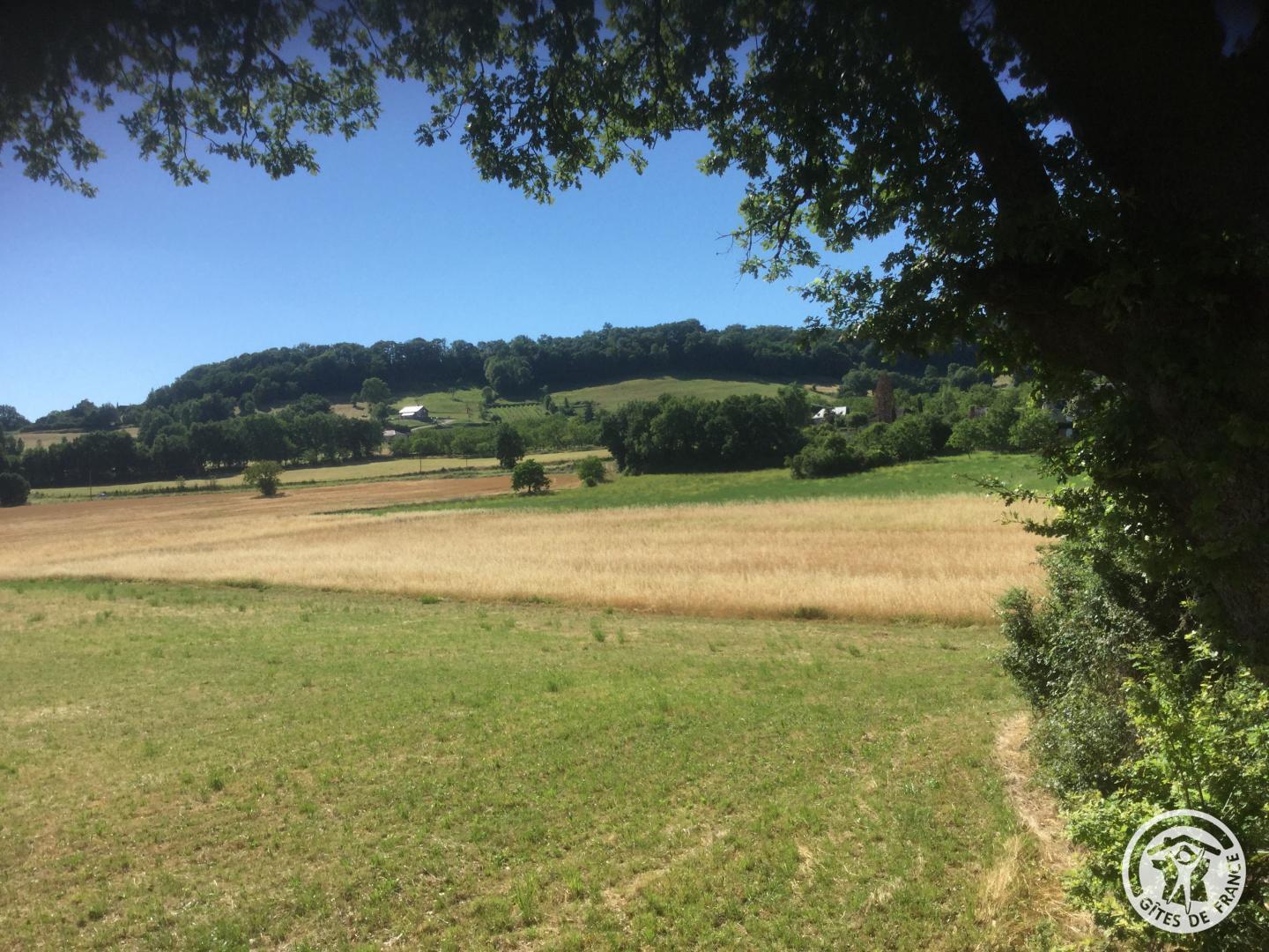 Location Gîtes de France  - Réf : 19G2210, Saillac - photo 72
