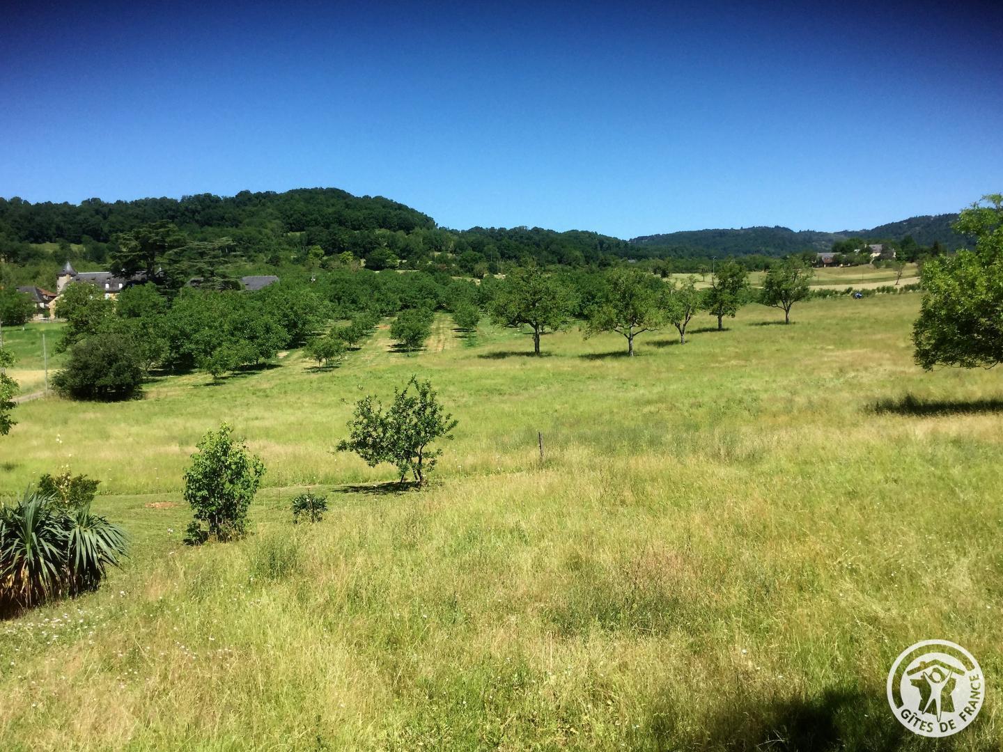 Location Gîtes de France  - Réf : 19G2210, Saillac - photo 73