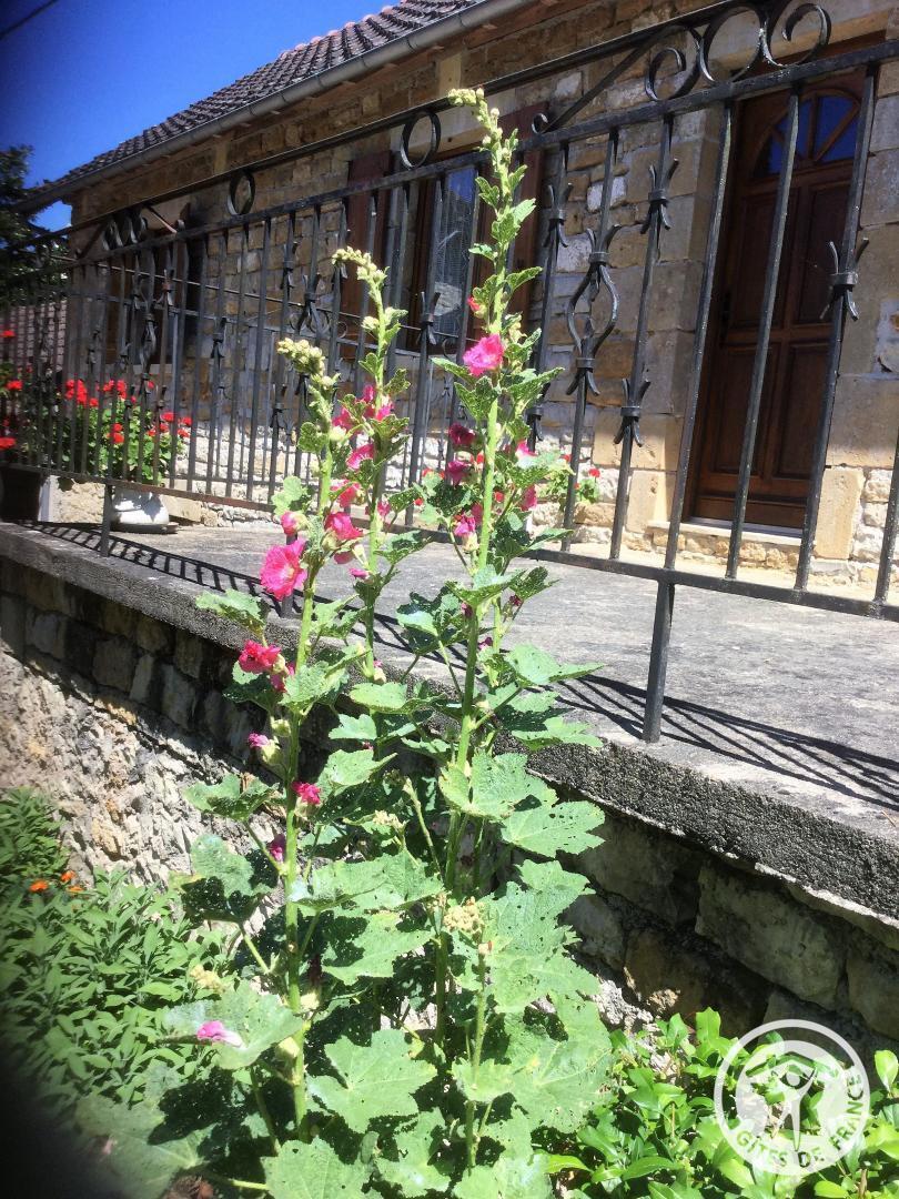 Location Gîtes de France  - Réf : 19G2210, Saillac - photo 71