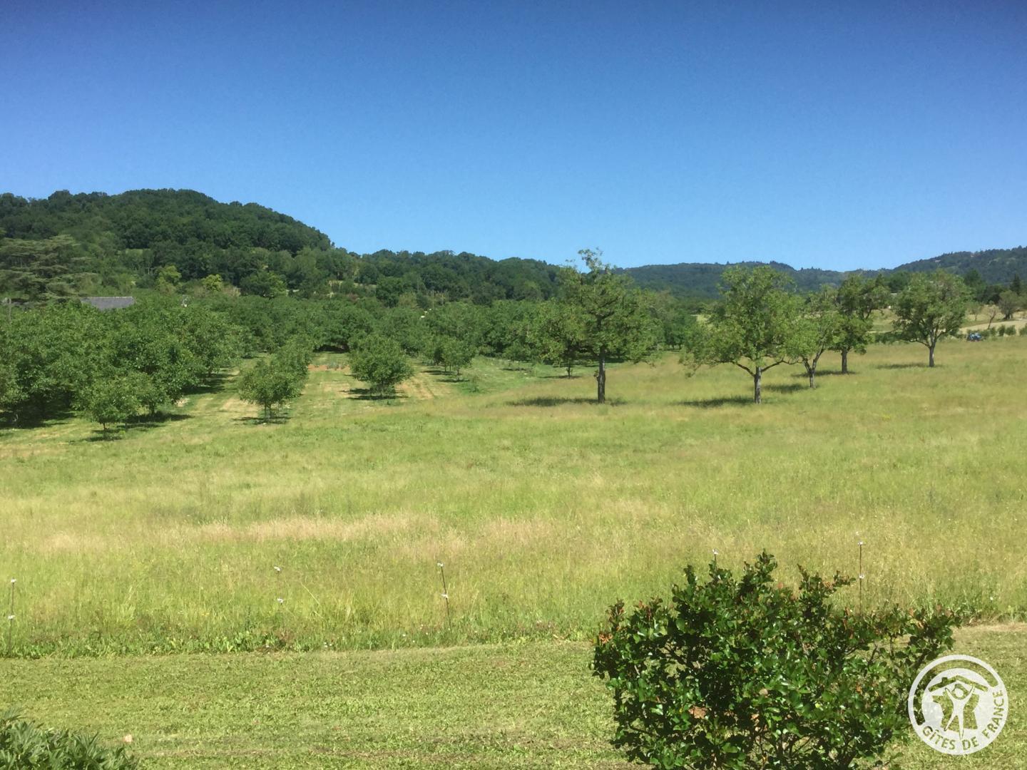 Location Gîtes de France  - Réf : 19G2211, Saillac - photo 86