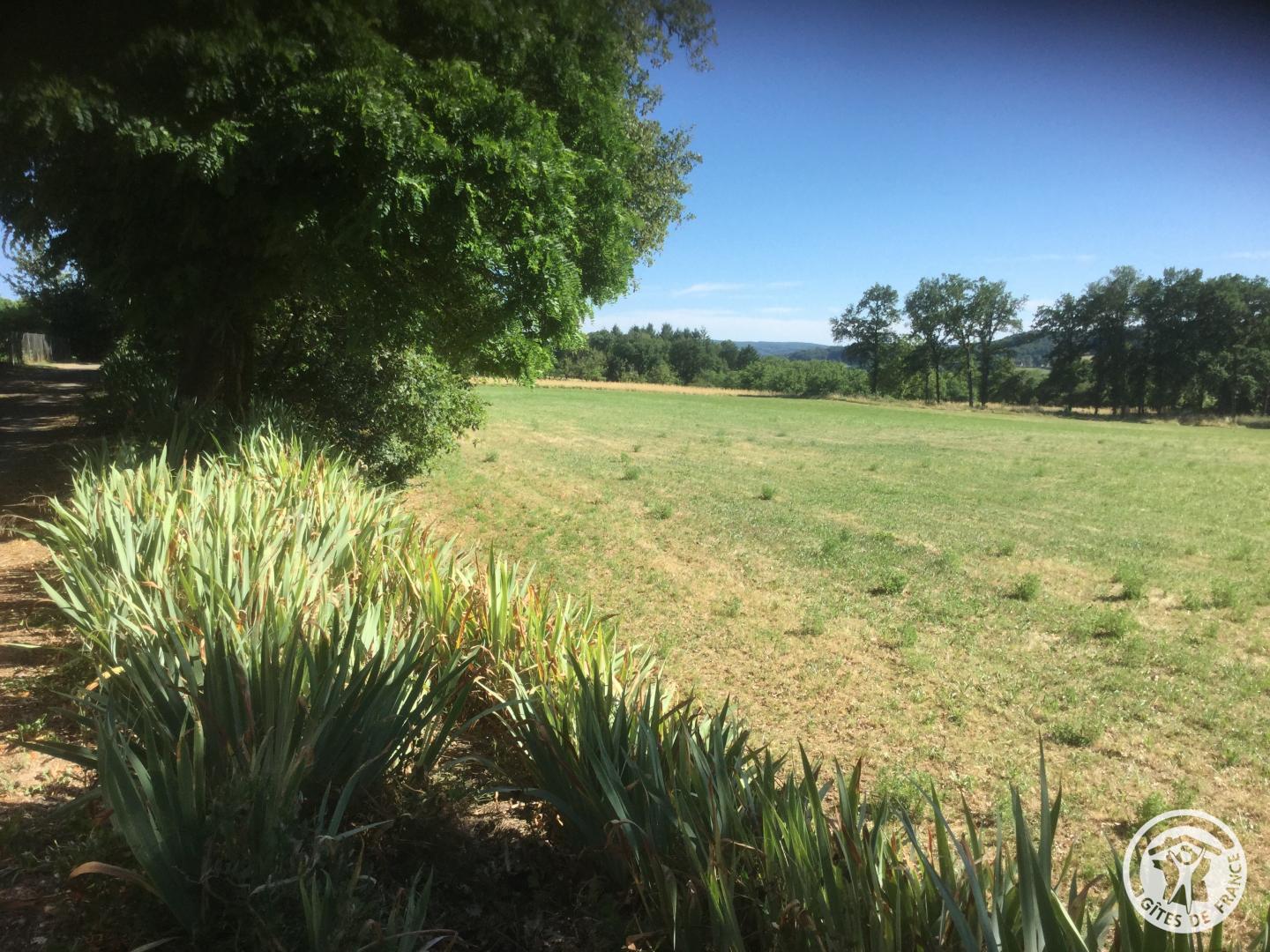 Location Gîtes de France  - Réf : 19G2211, Saillac - photo 73