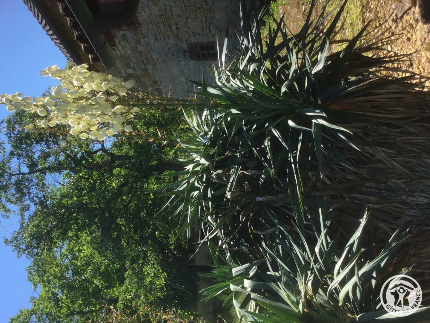 Location Gîtes de France  - Réf : 19G2211, Saillac - photo 84